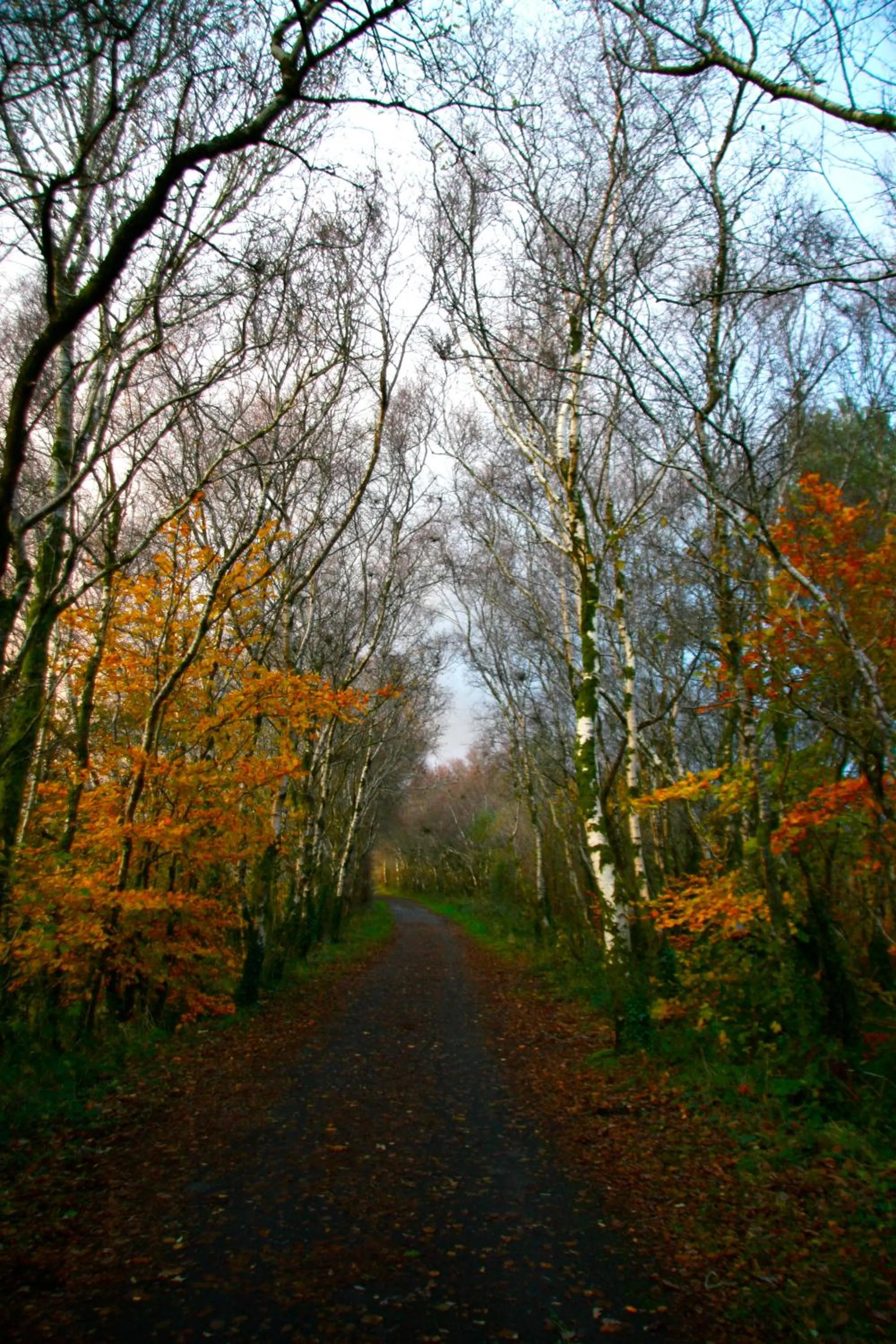 Nearby landmark in Lydford House