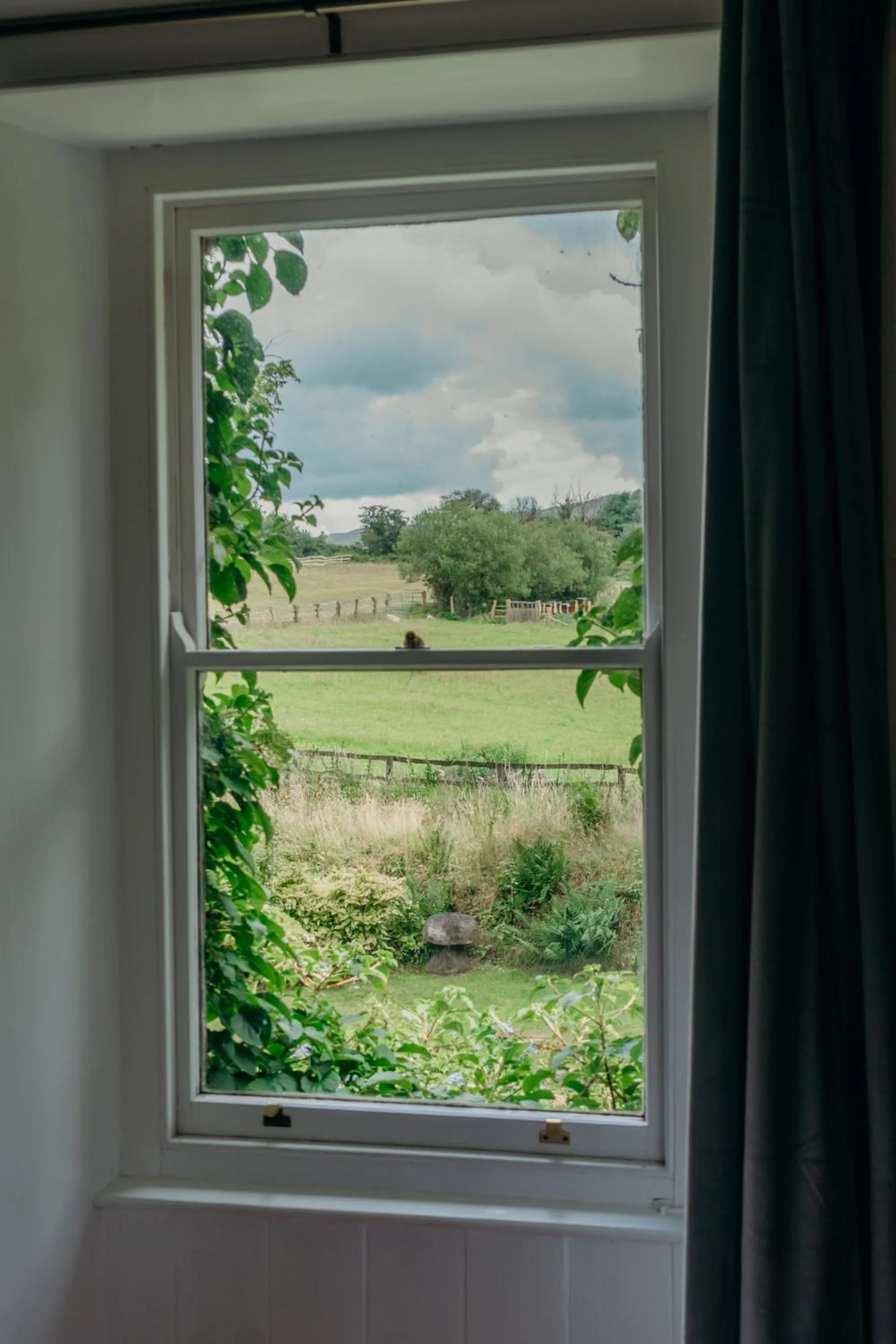 Natural landscape in Lydford House