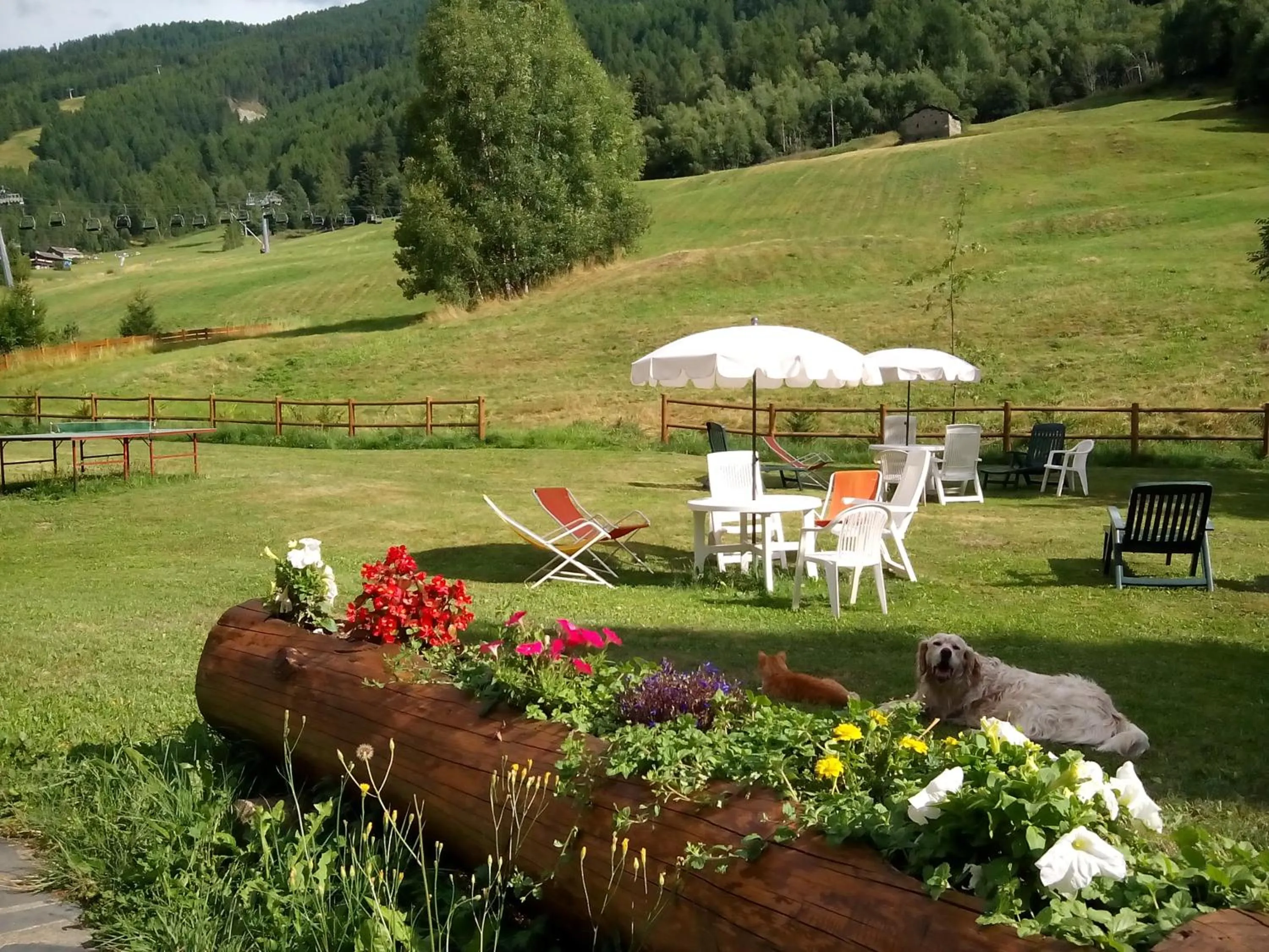 Day in Albergo Cioccarelli