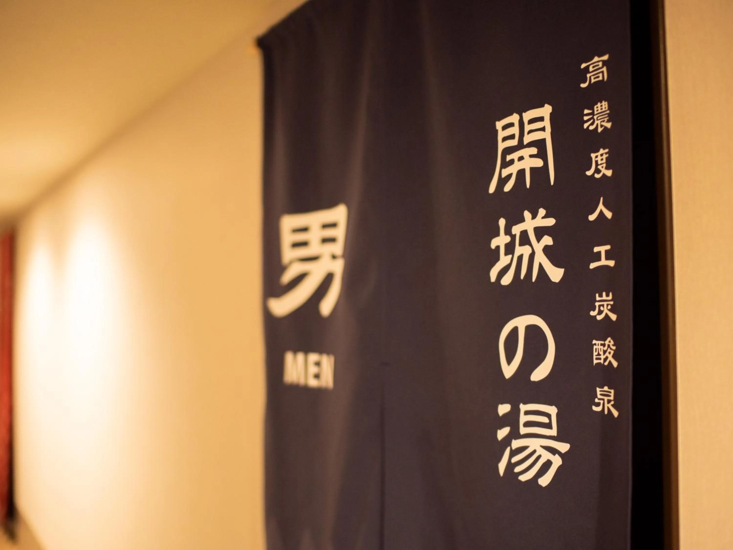 Public Bath in Super Hotel Tokyo Shiba