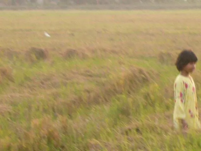 Homestay Zulaika Kota Aur