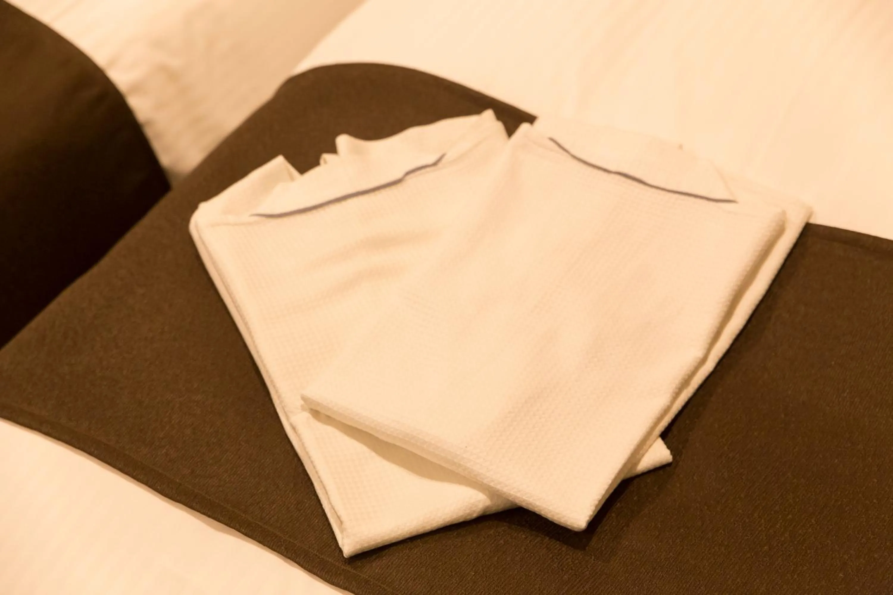 Photo of the whole room in Osaka Riverside Hotel