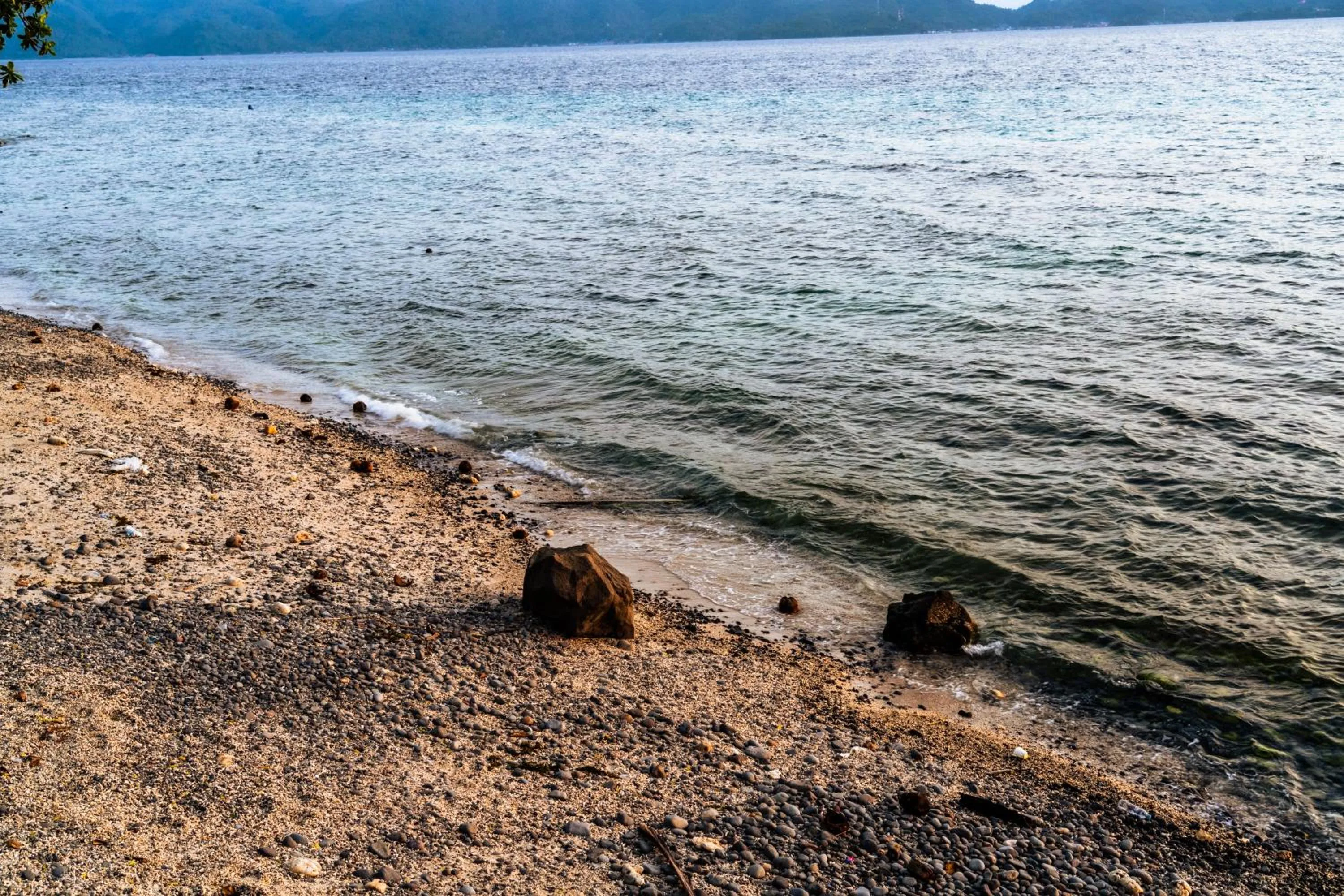 Beach in Altamare Dive and Leisure Resort Anilao