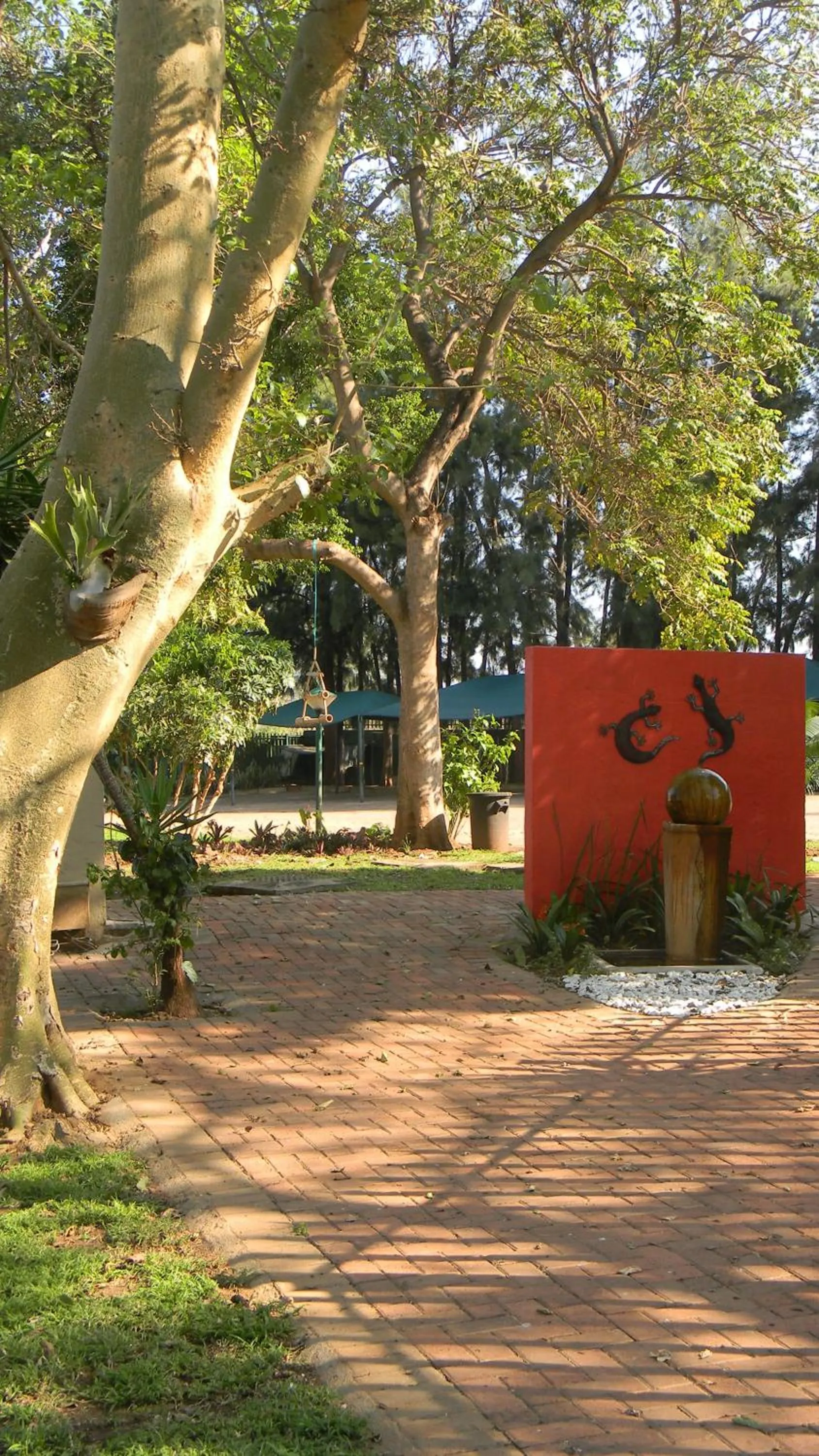 Garden in Rio Vista Lodge