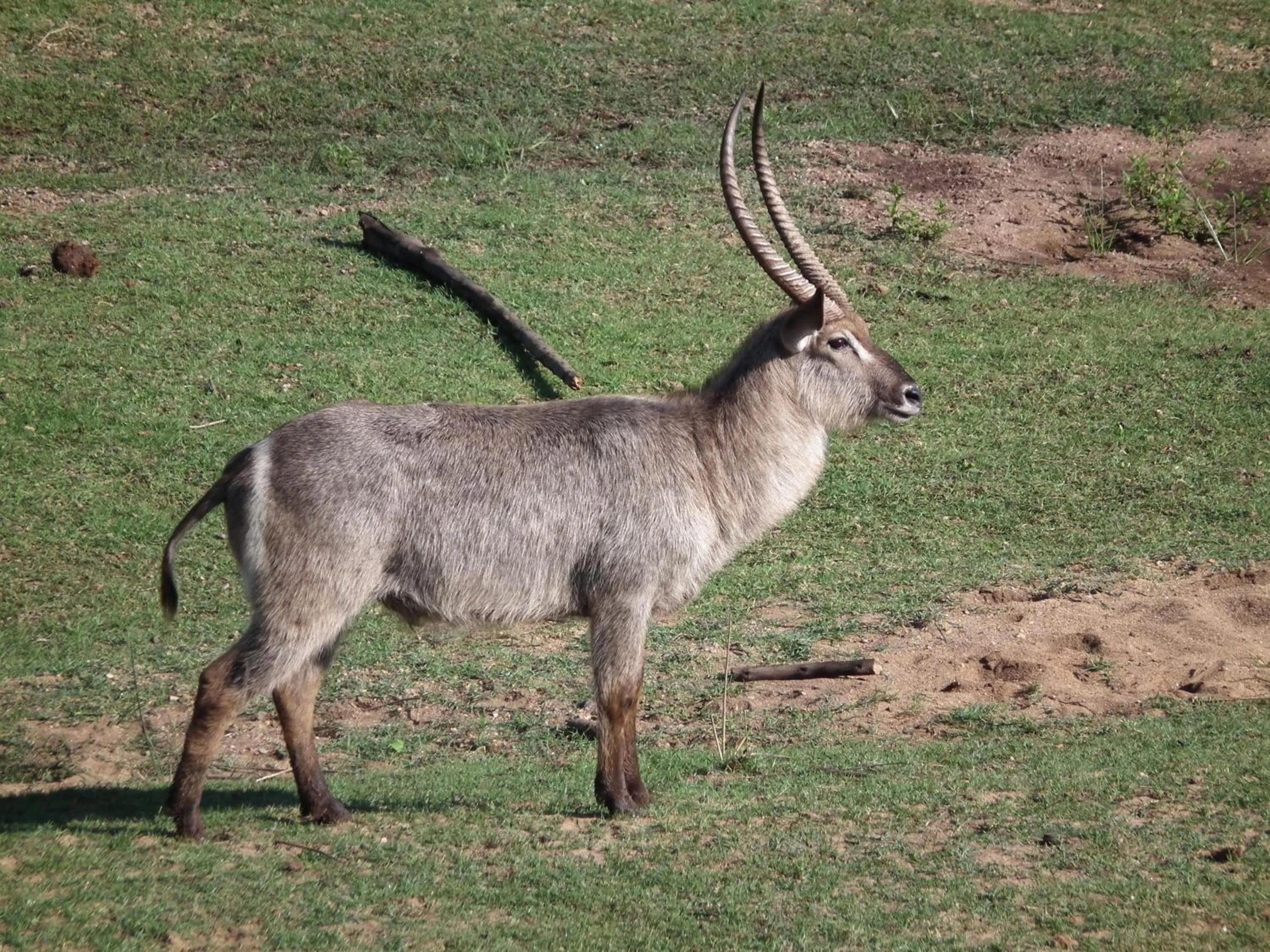 Other in Rio Vista Lodge