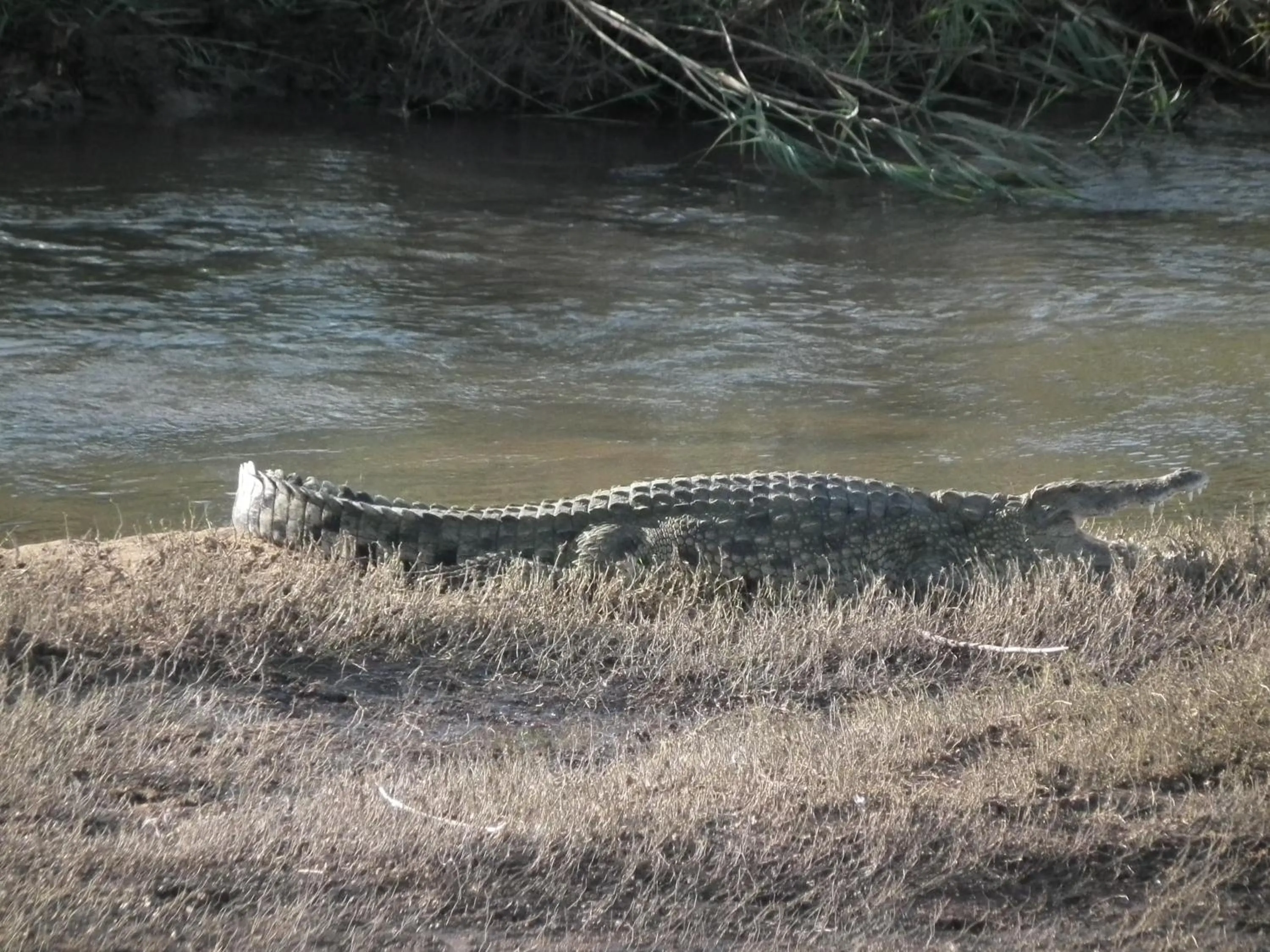 Other in Rio Vista Lodge