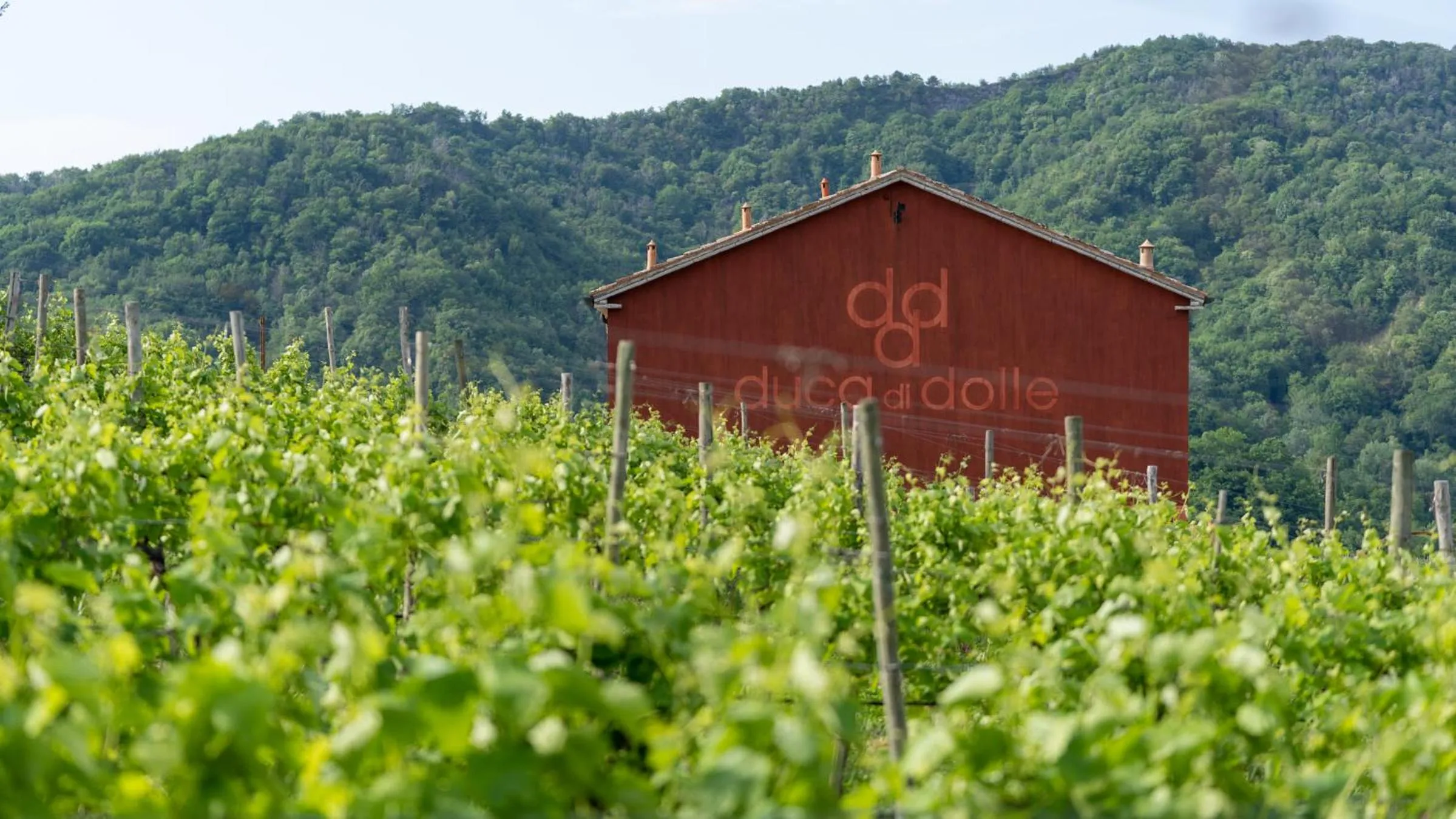 Property logo or sign in Duca Di Dolle Wine & Relais