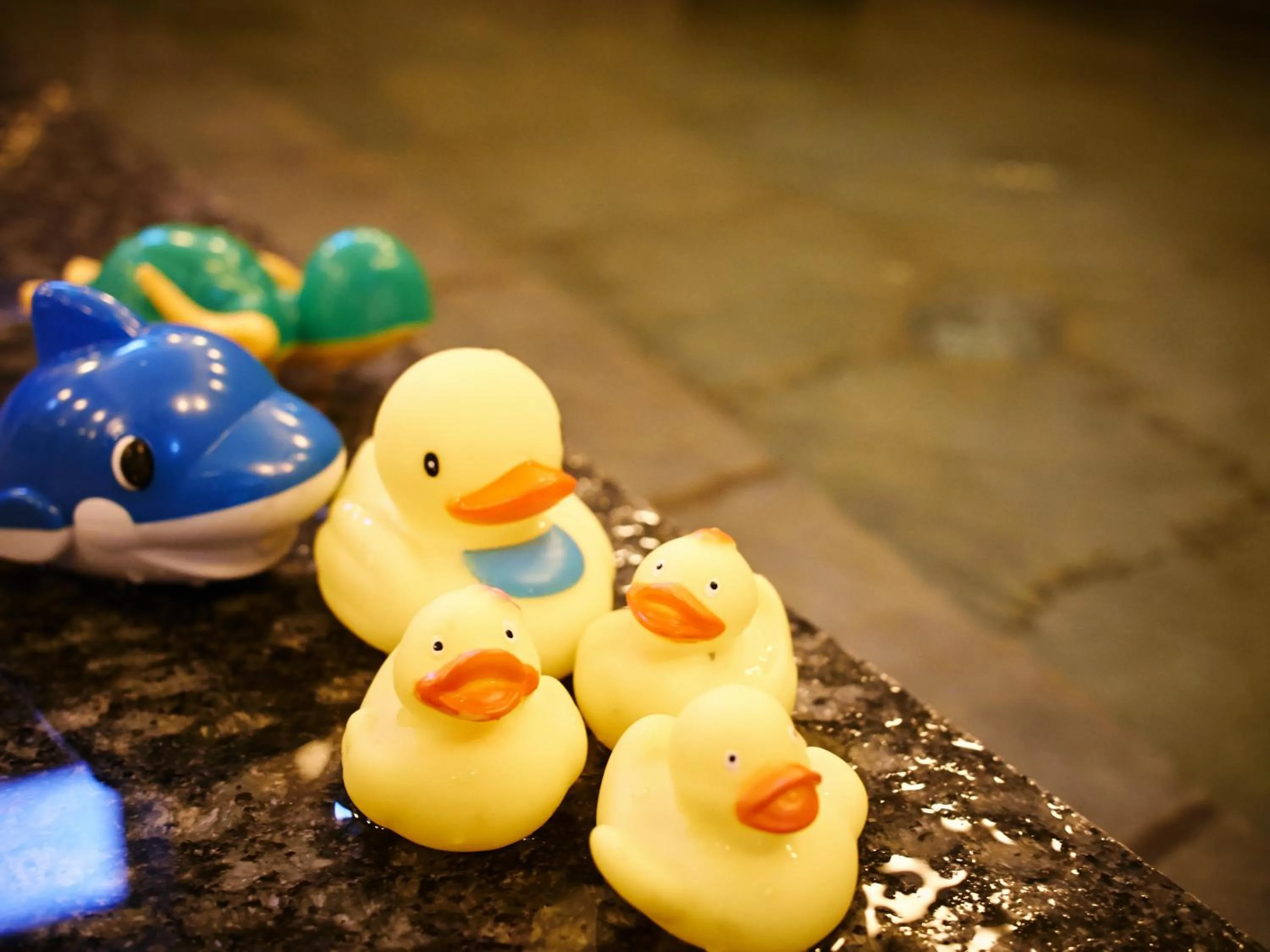 Hot Spring Bath in Super Hotel Hirosaki