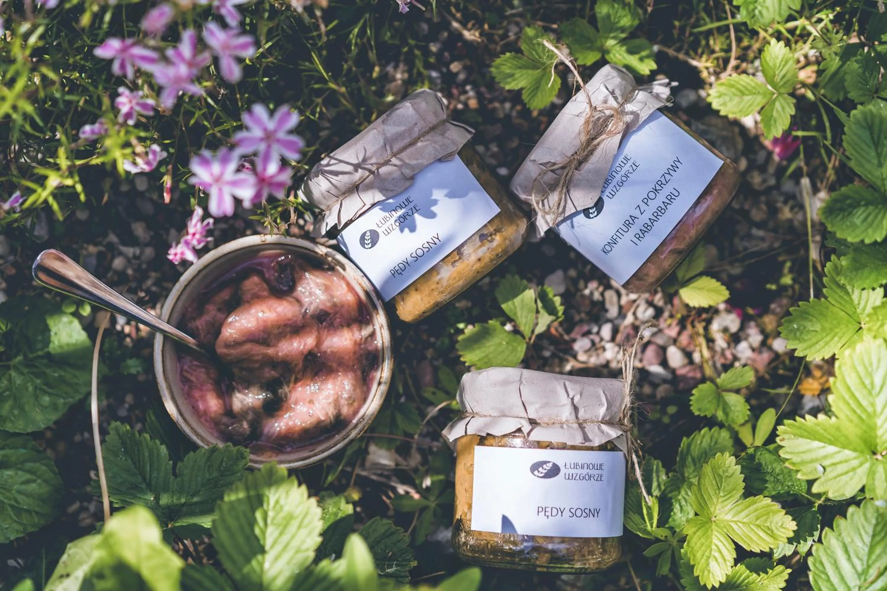 Garden in Łubinowe Wzgórze - Wioska Zdrowia