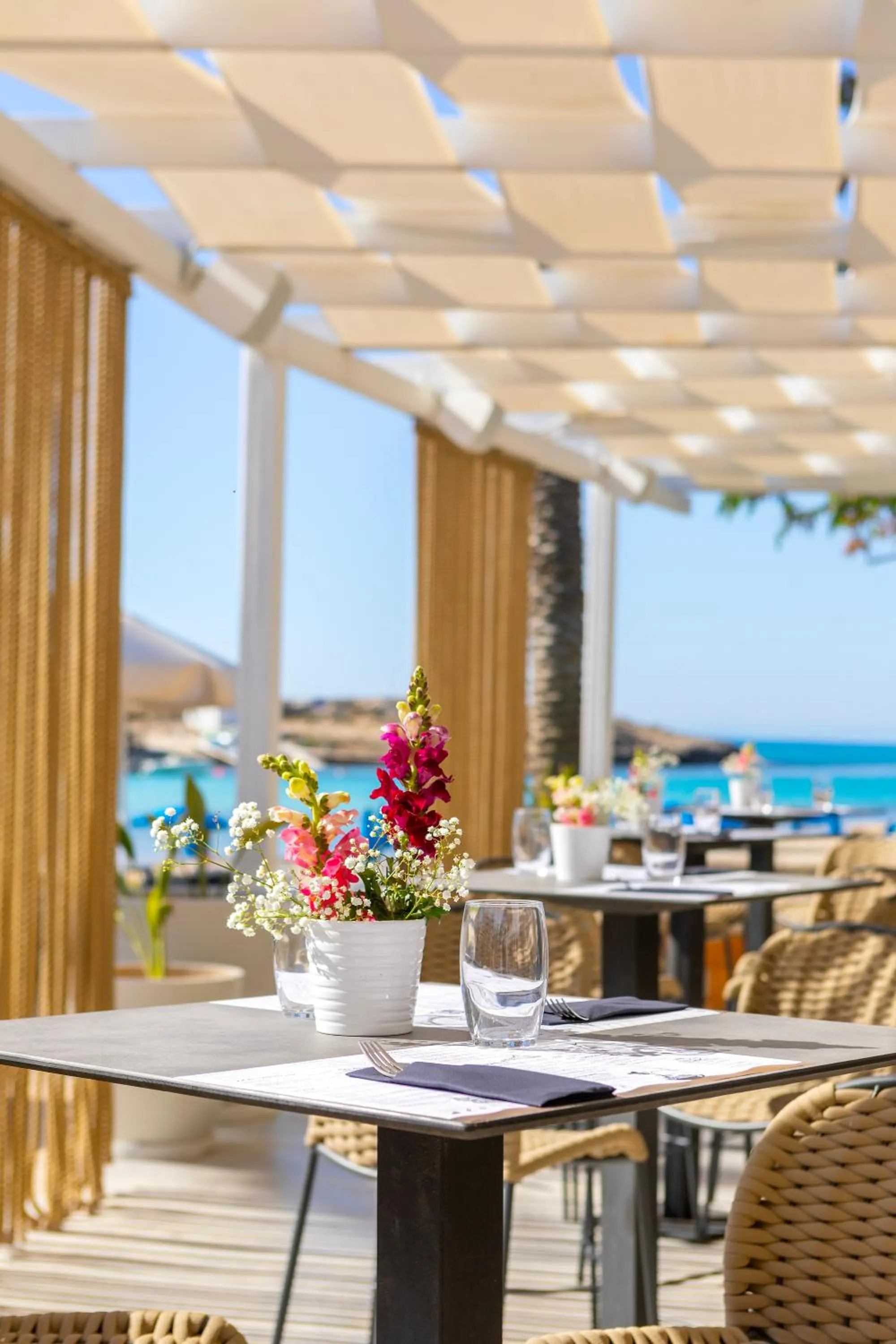 Restaurant/places to eat in Pavlo Napa Beach Hotel