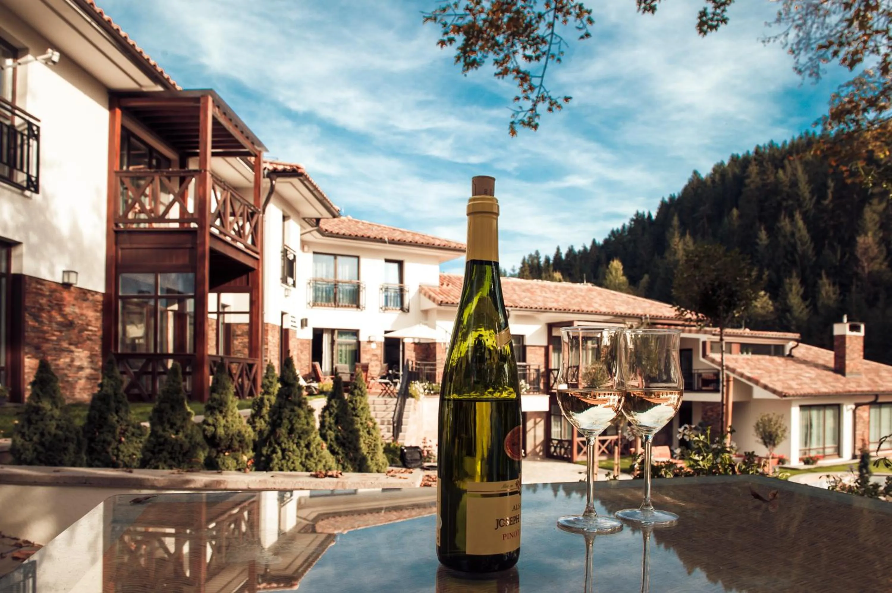 Alcoholic drinks in Villa Helia