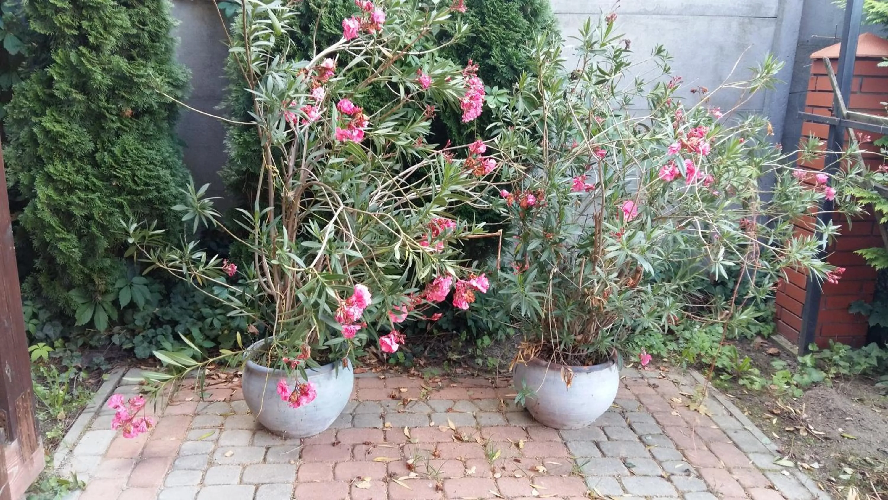 Dom Gościnny 8 km od Suntago, Deepspot