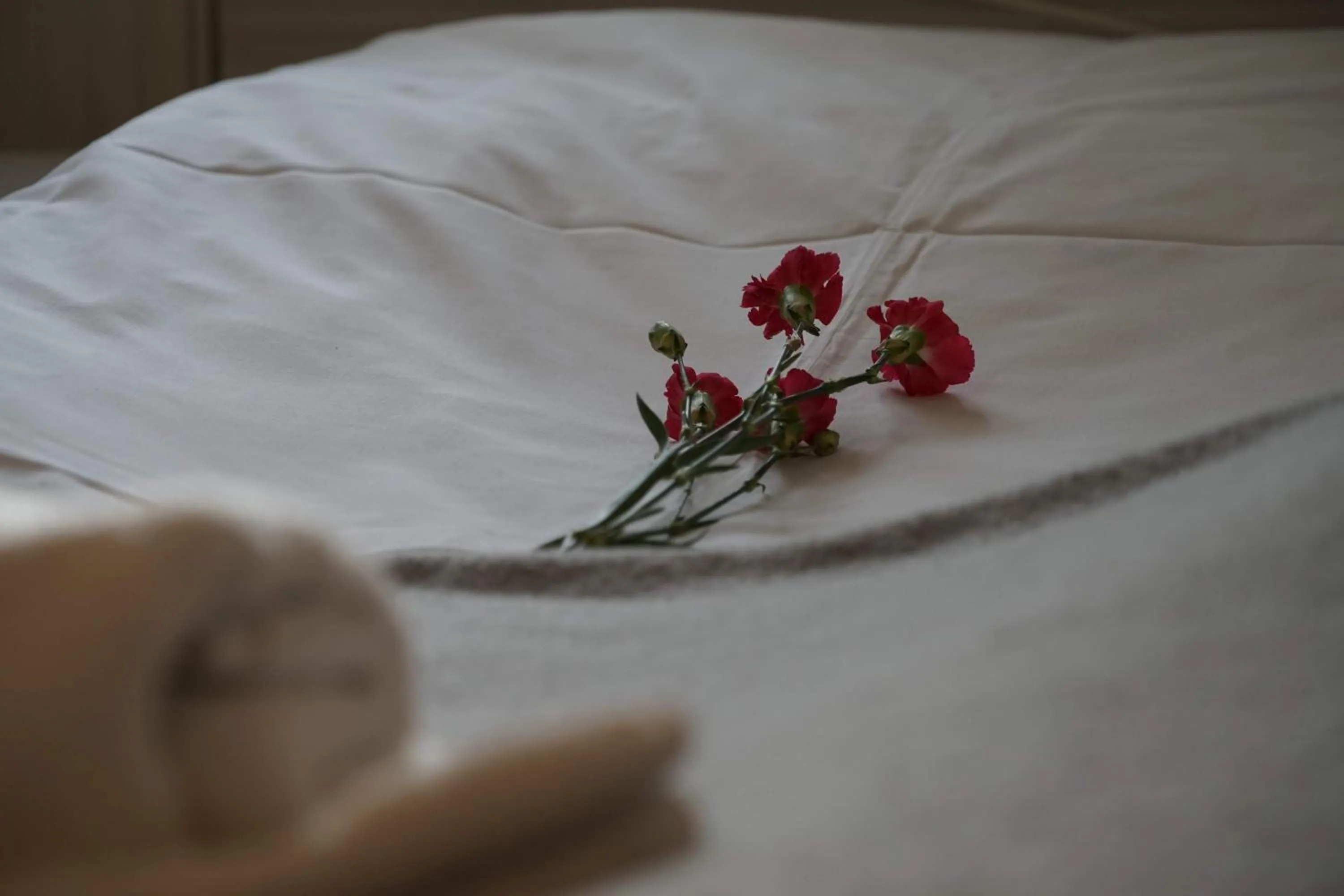 Bed in Dom Gościnny 8 km od Suntago, Deepspot