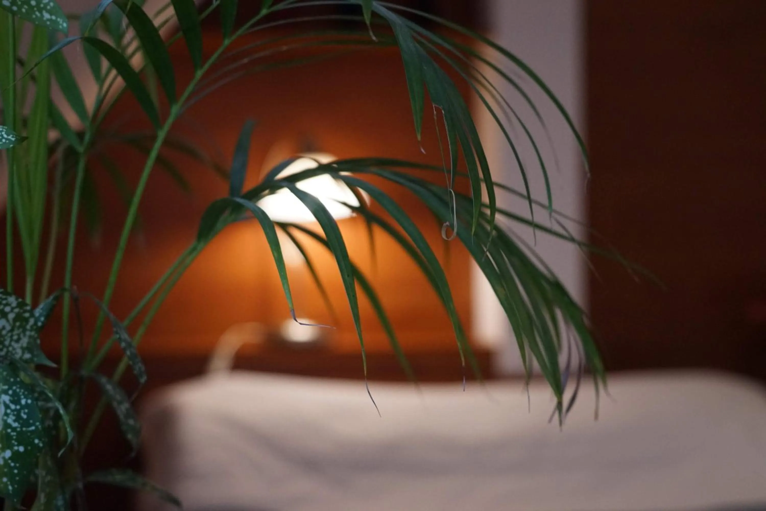 Bed in Dom Gościnny 8 km od Suntago, Deepspot