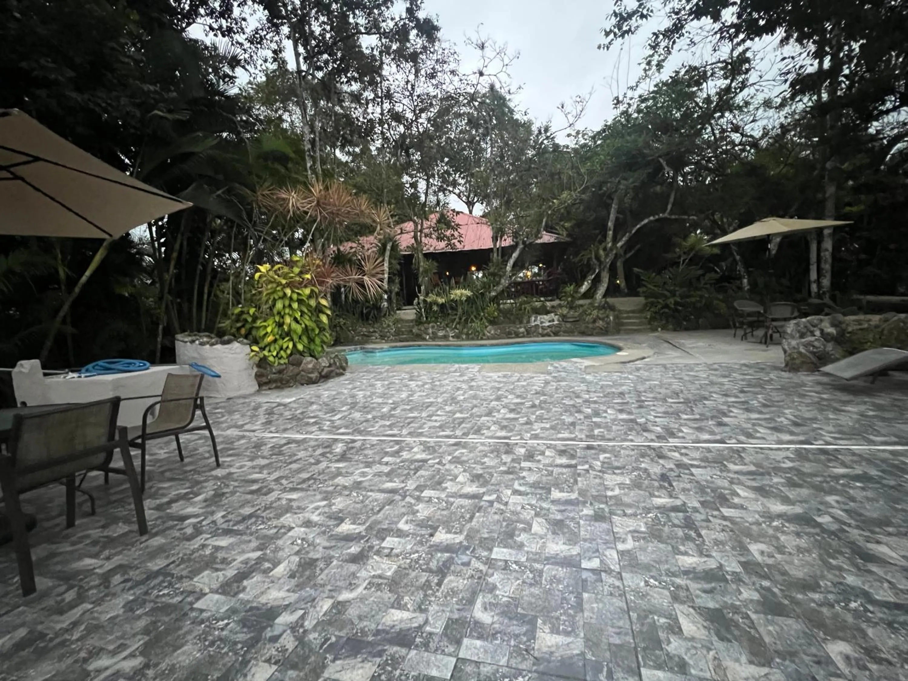 Swimming pool in Samai Lodge Holistic Living