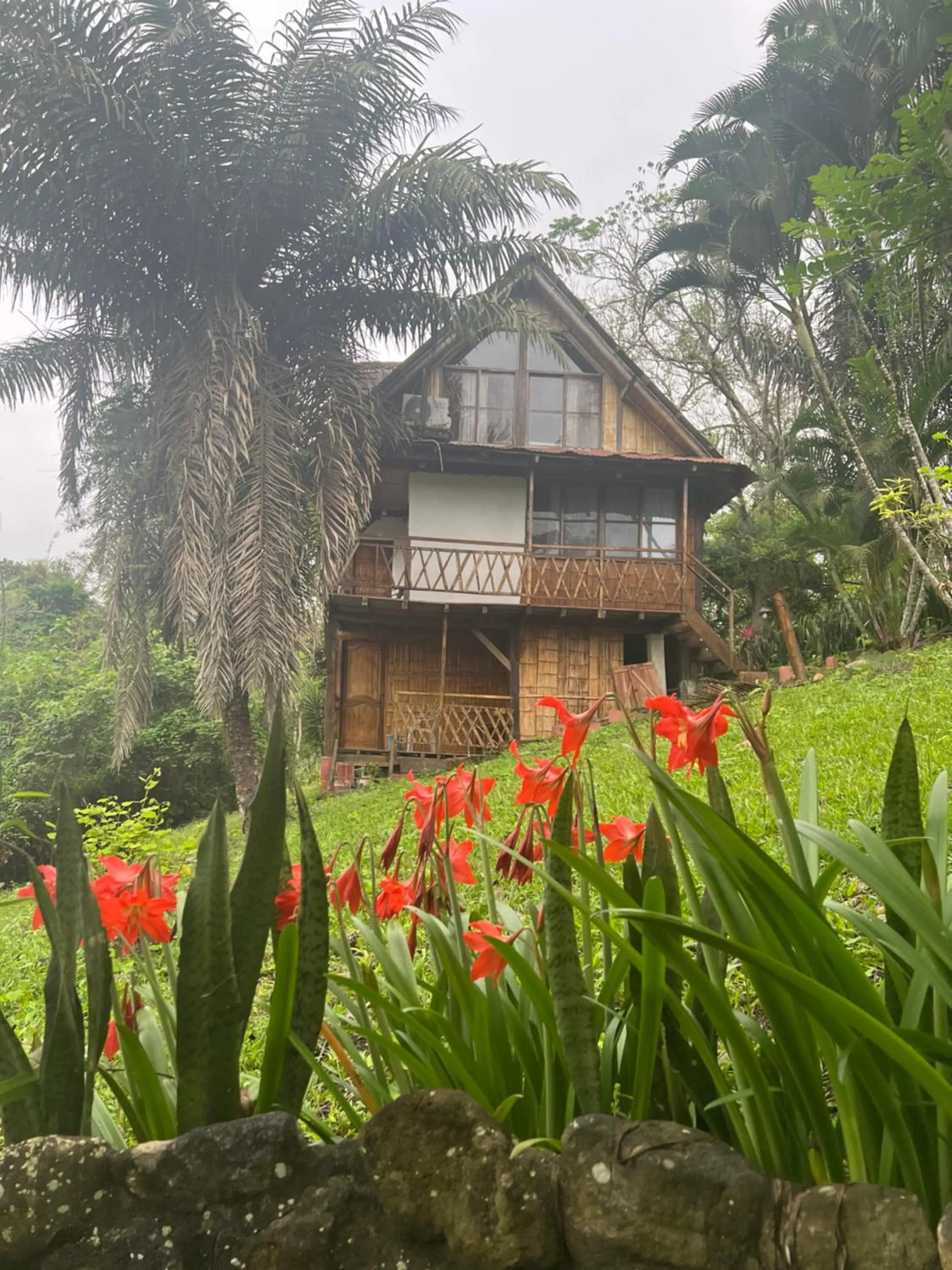 Property building in Samai Lodge Holistic Living