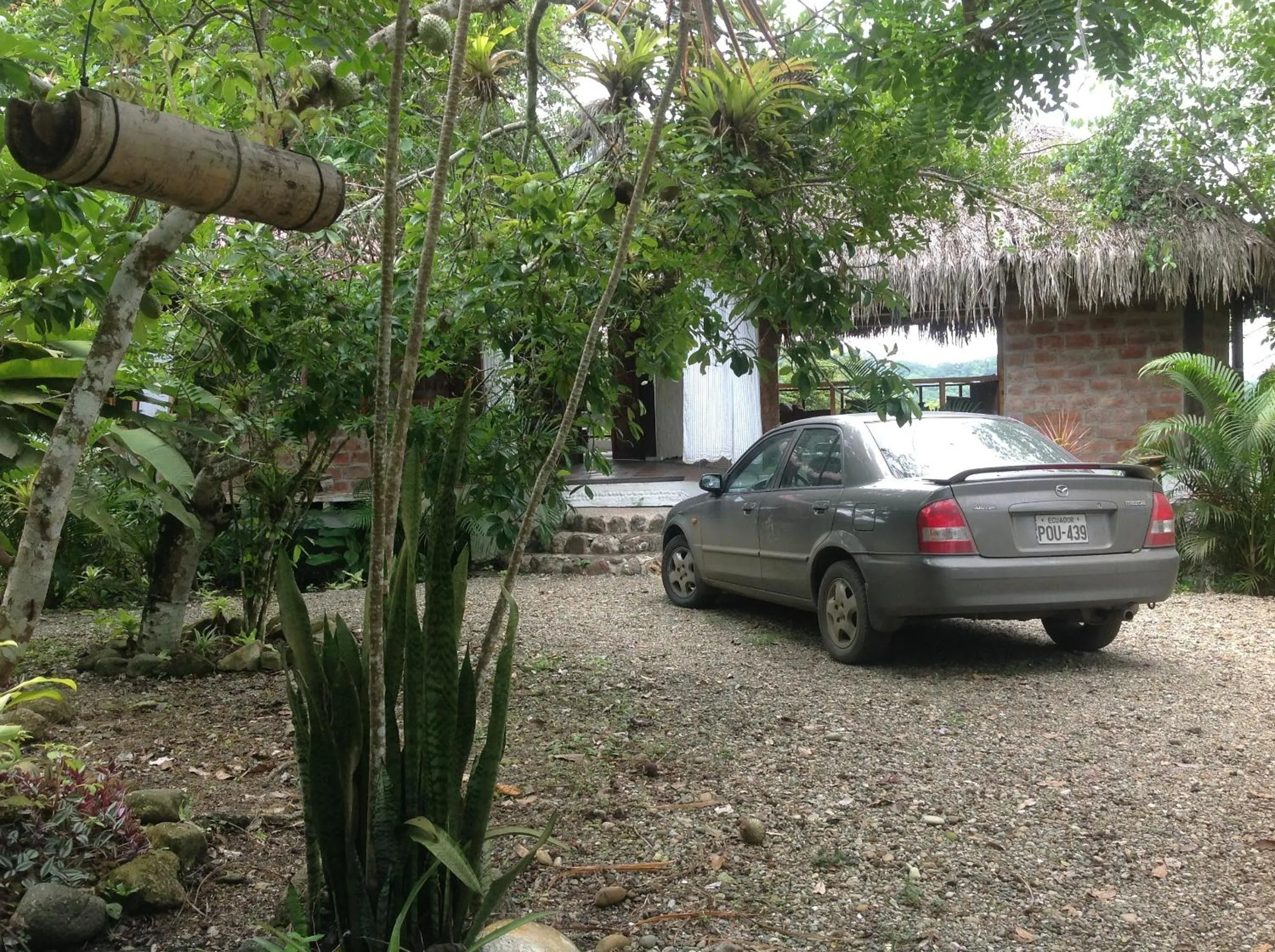 Area and facilities in Samai Lodge Holistic Living