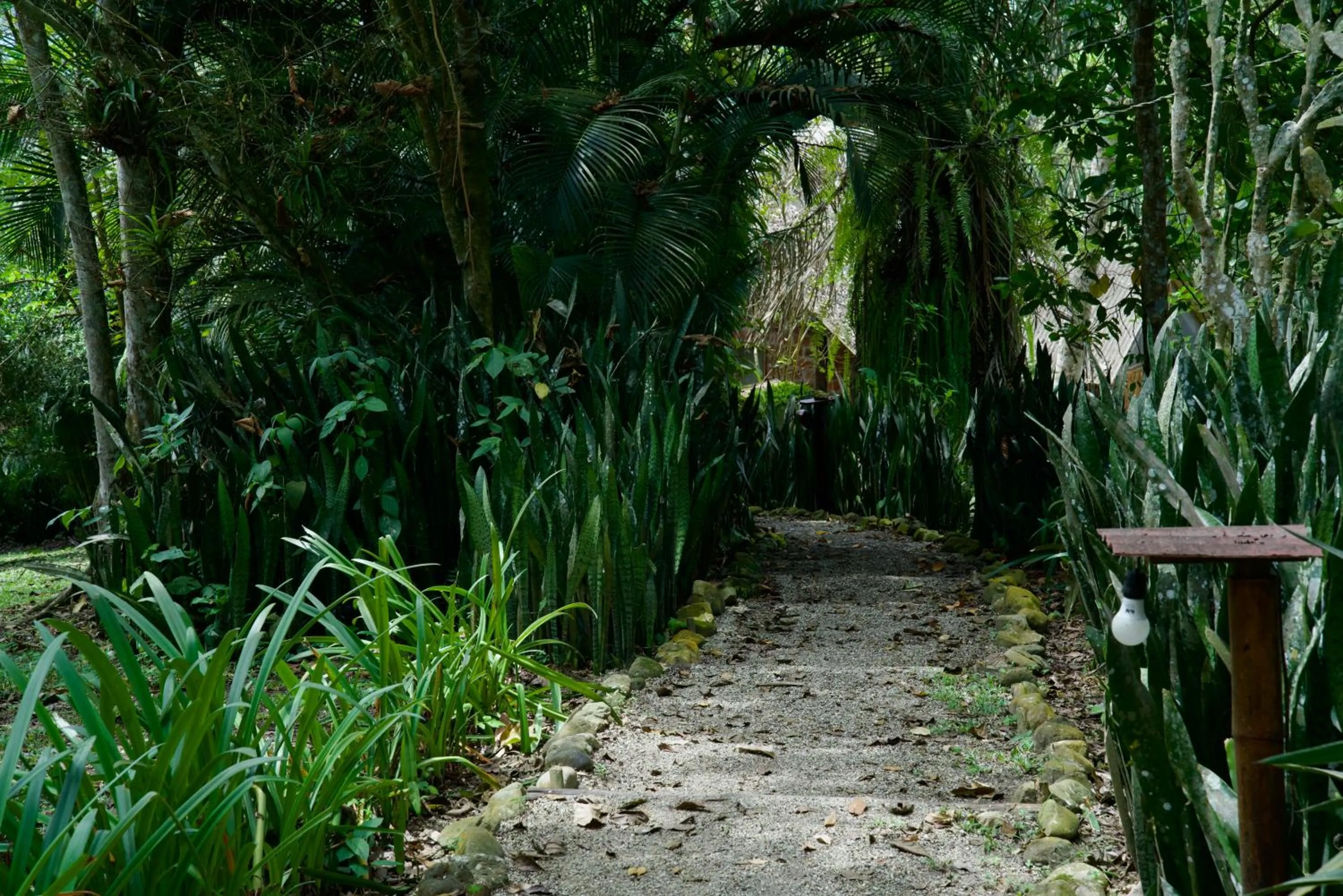 Natural landscape in Samai Lodge Holistic Living