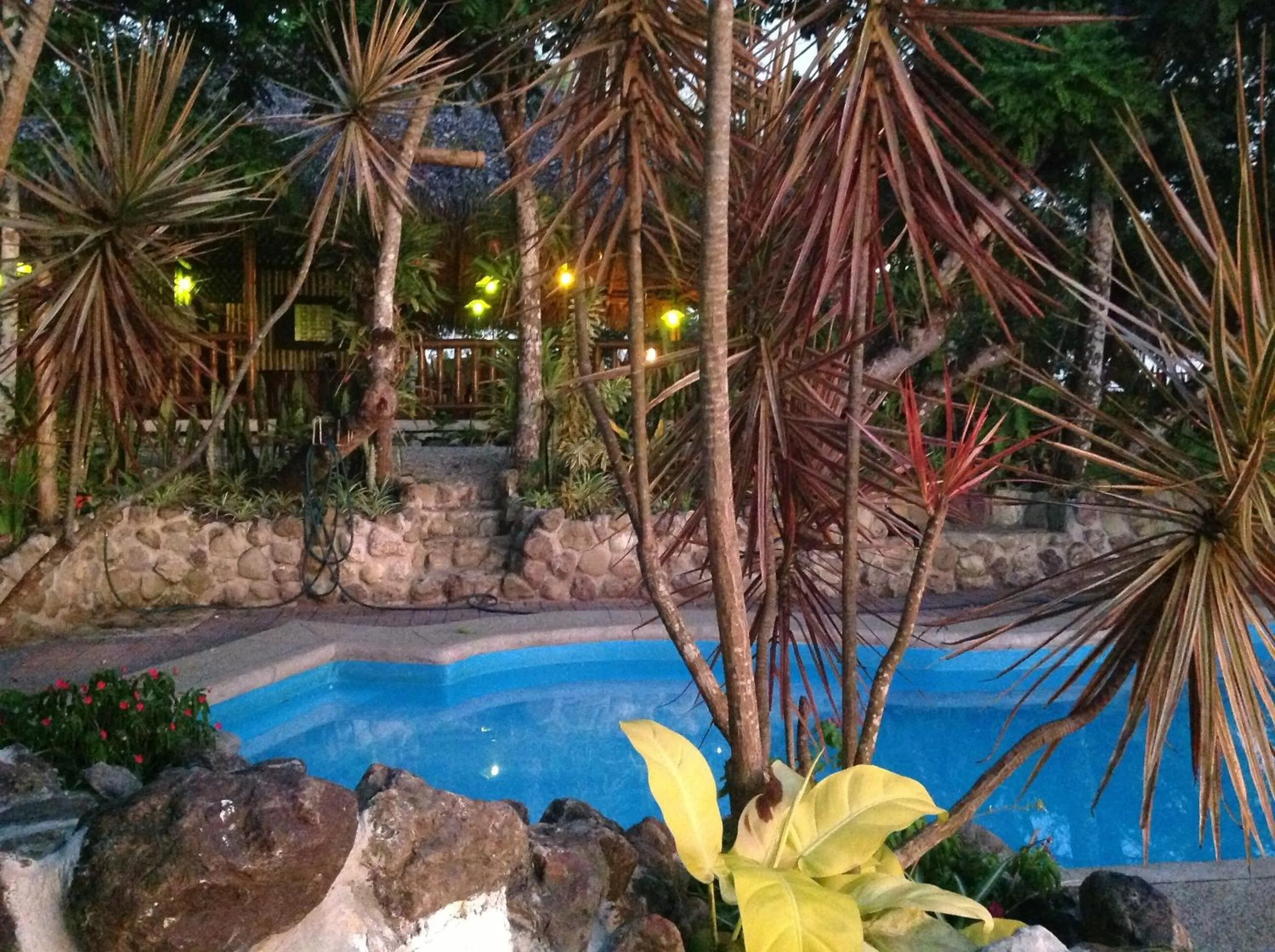 Swimming pool in Samai Lodge Holistic Living