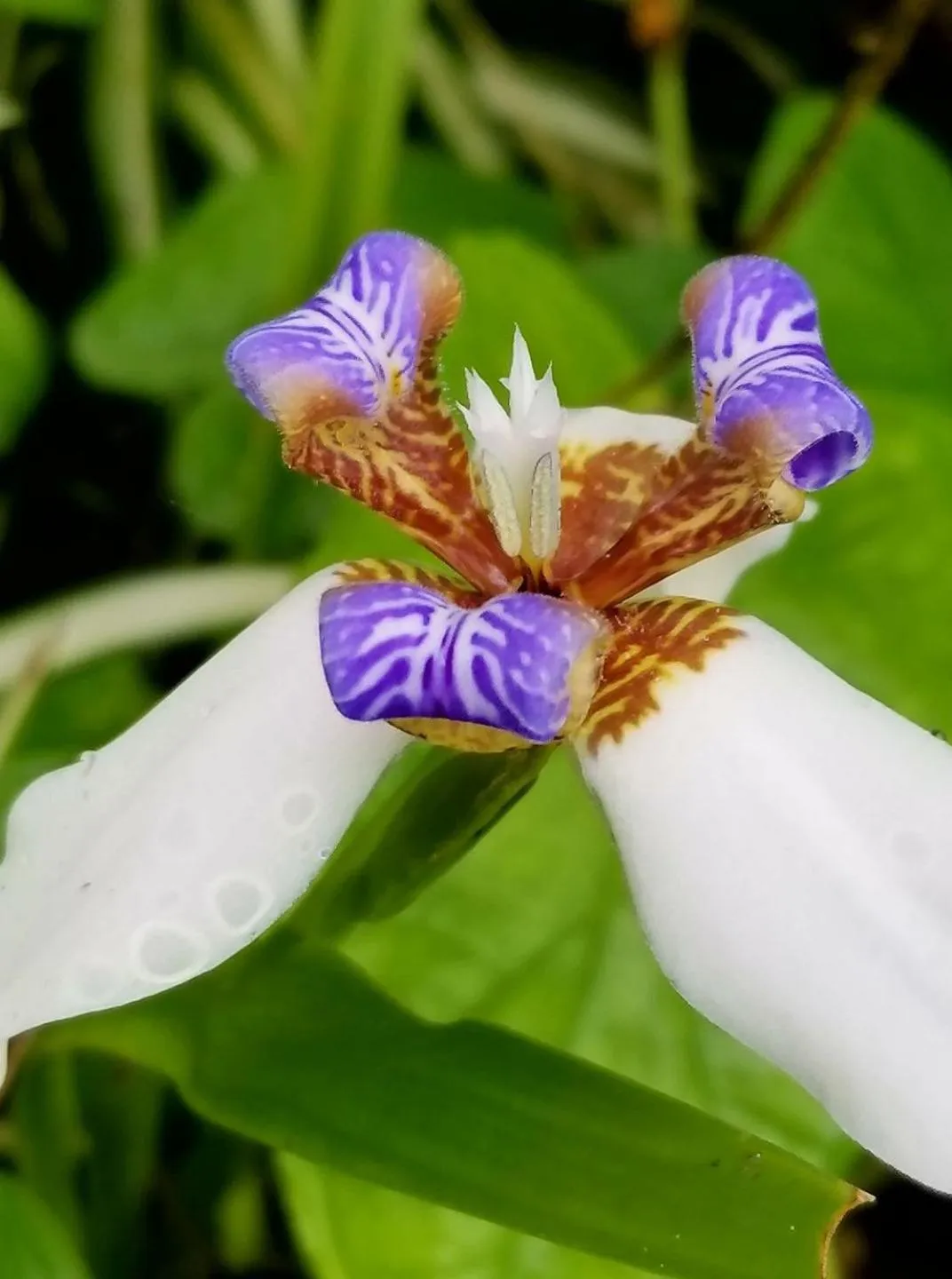 Natural landscape in Samai Lodge Holistic Living