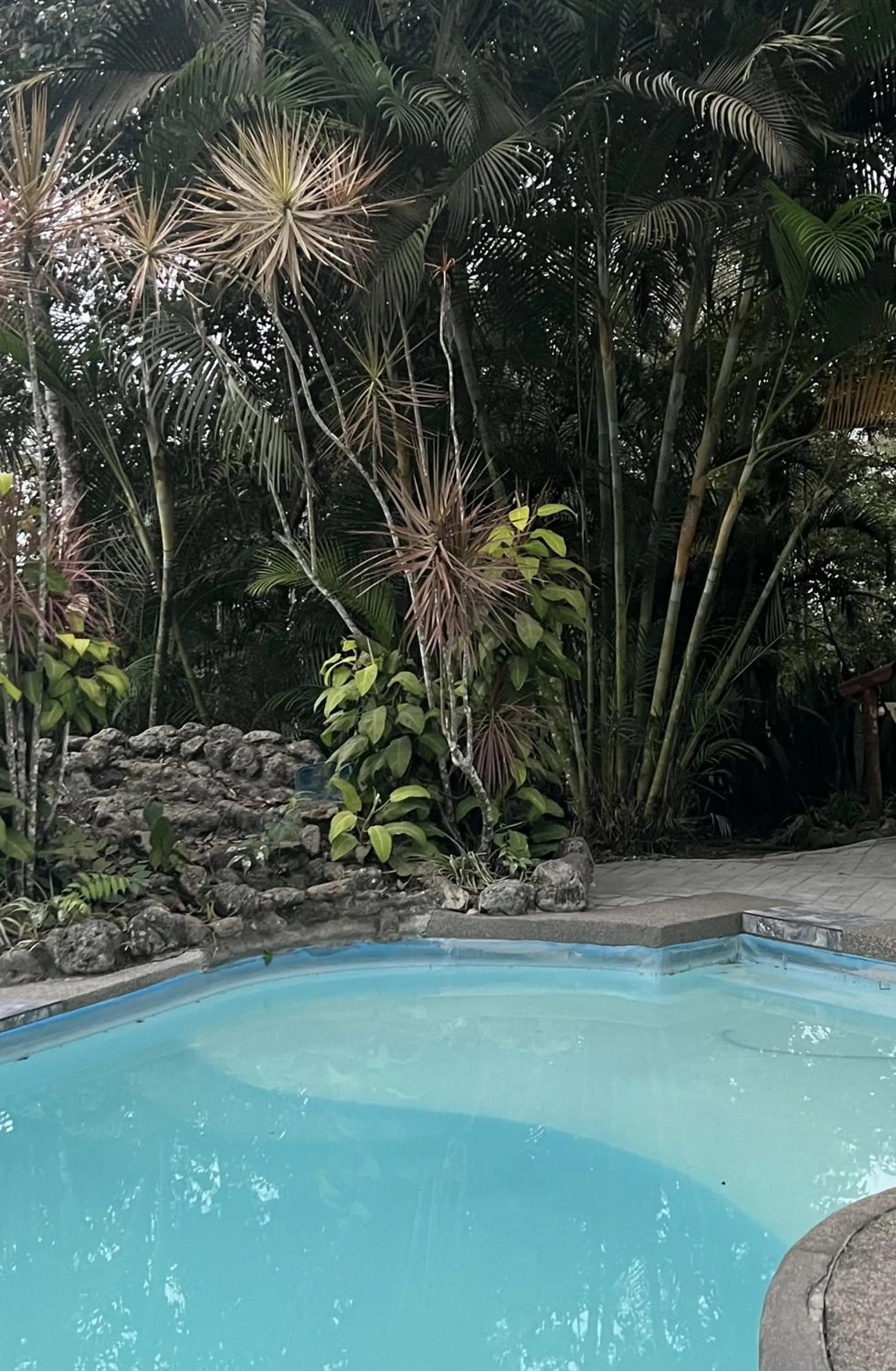 Swimming pool in Samai Lodge Holistic Living