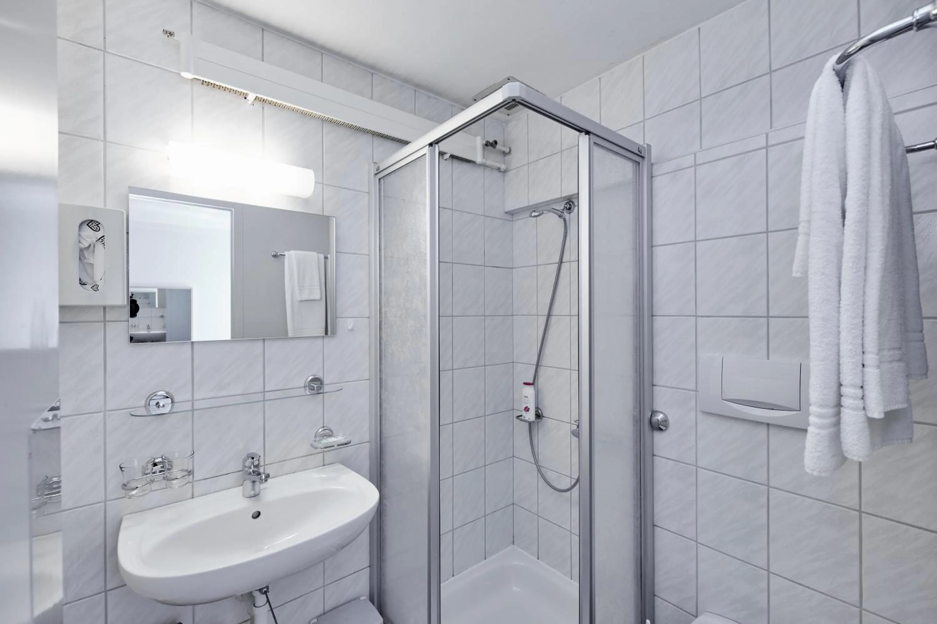 Bathroom in Hotel Rotes Haus