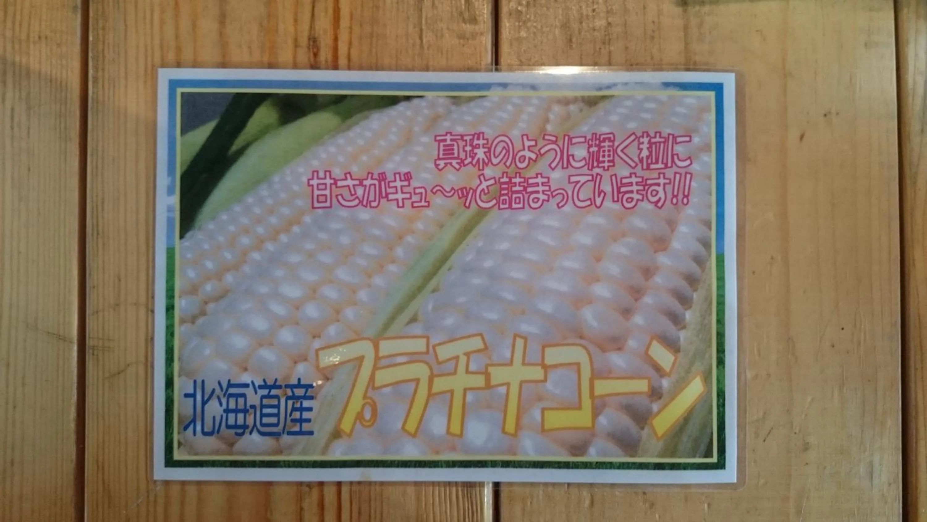 Nearby landmark in Furano Mount Villa