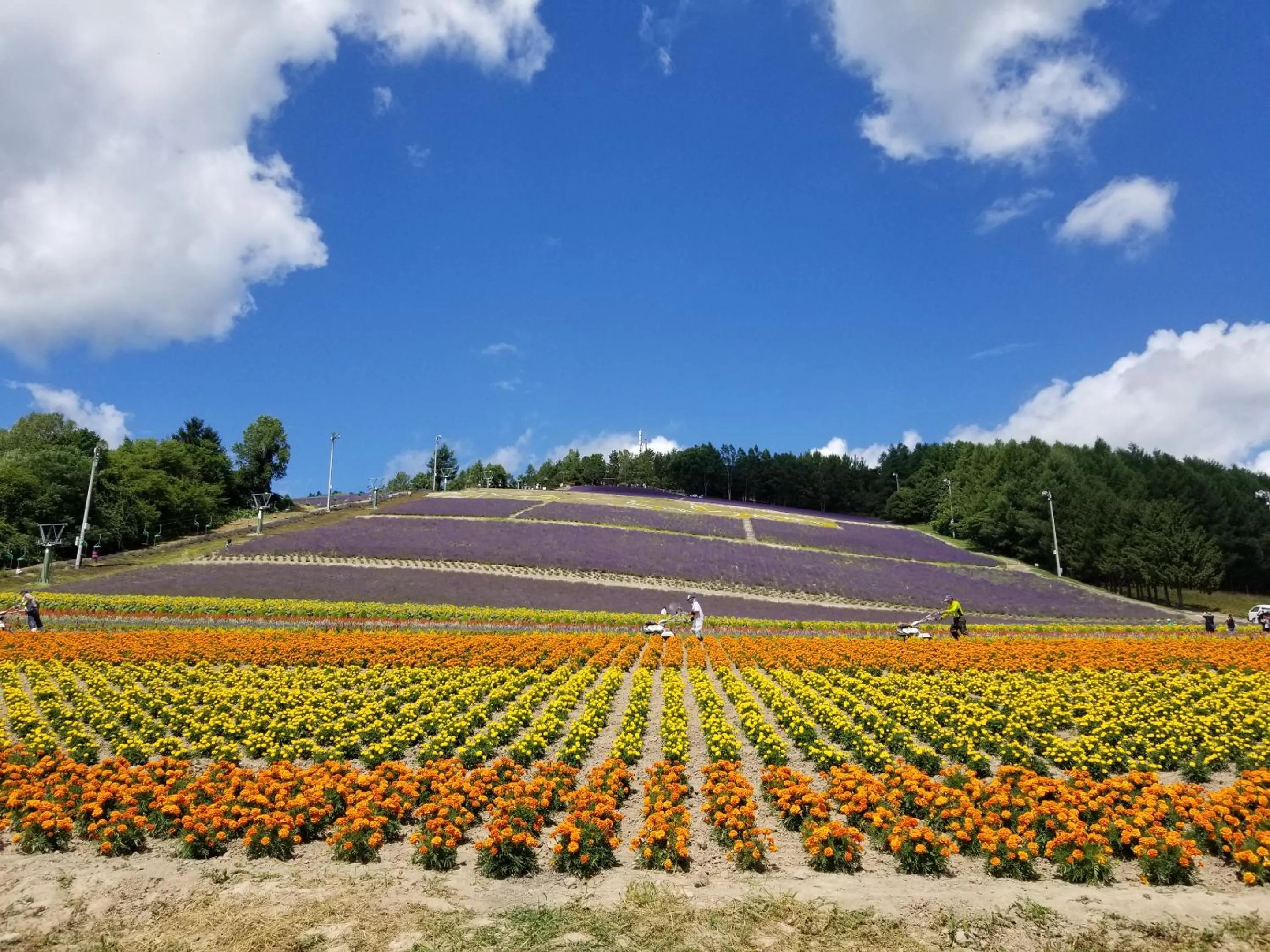 Nearby landmark in Furano Mount Villa