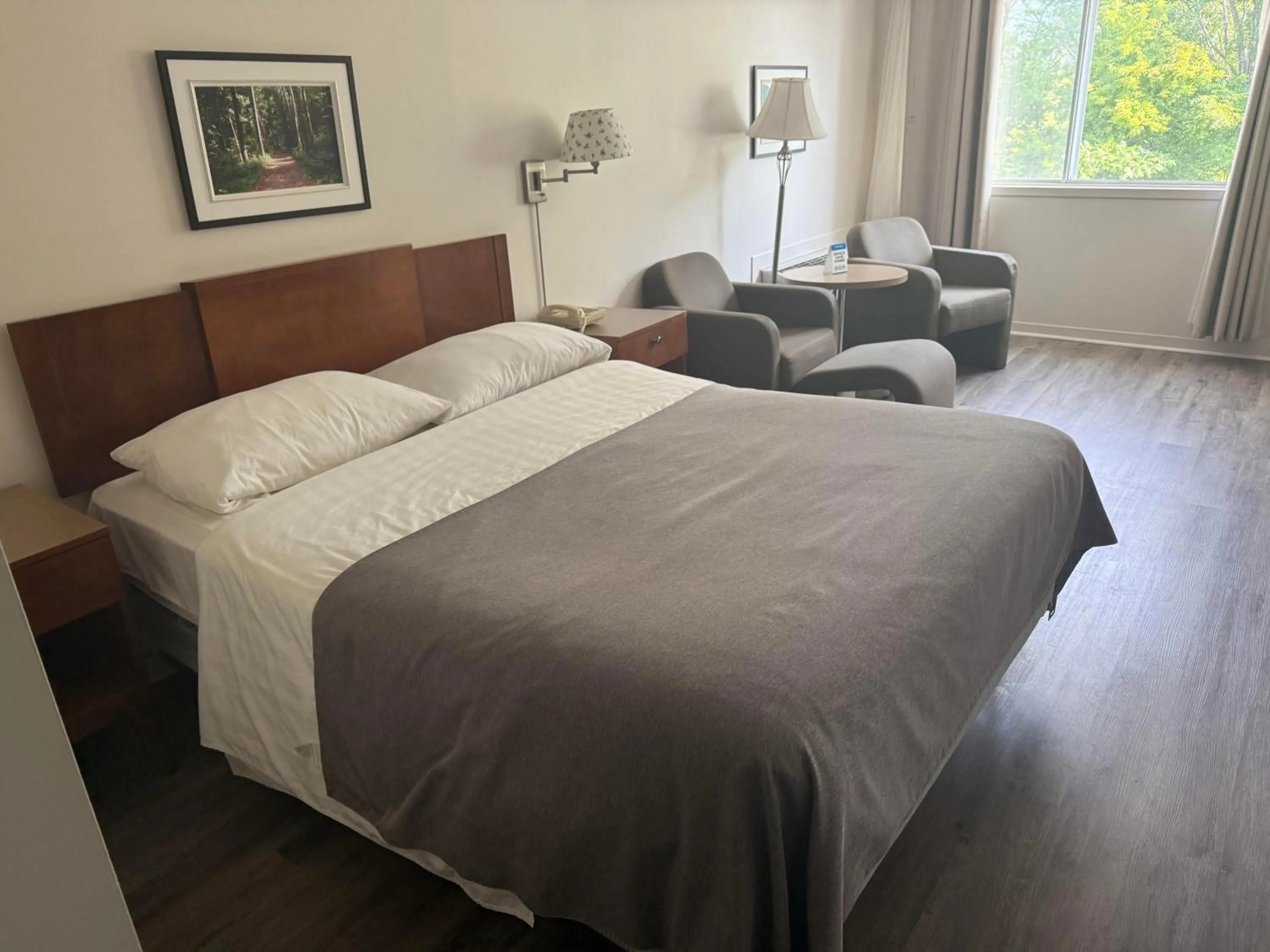 Bed in Hotel Transit