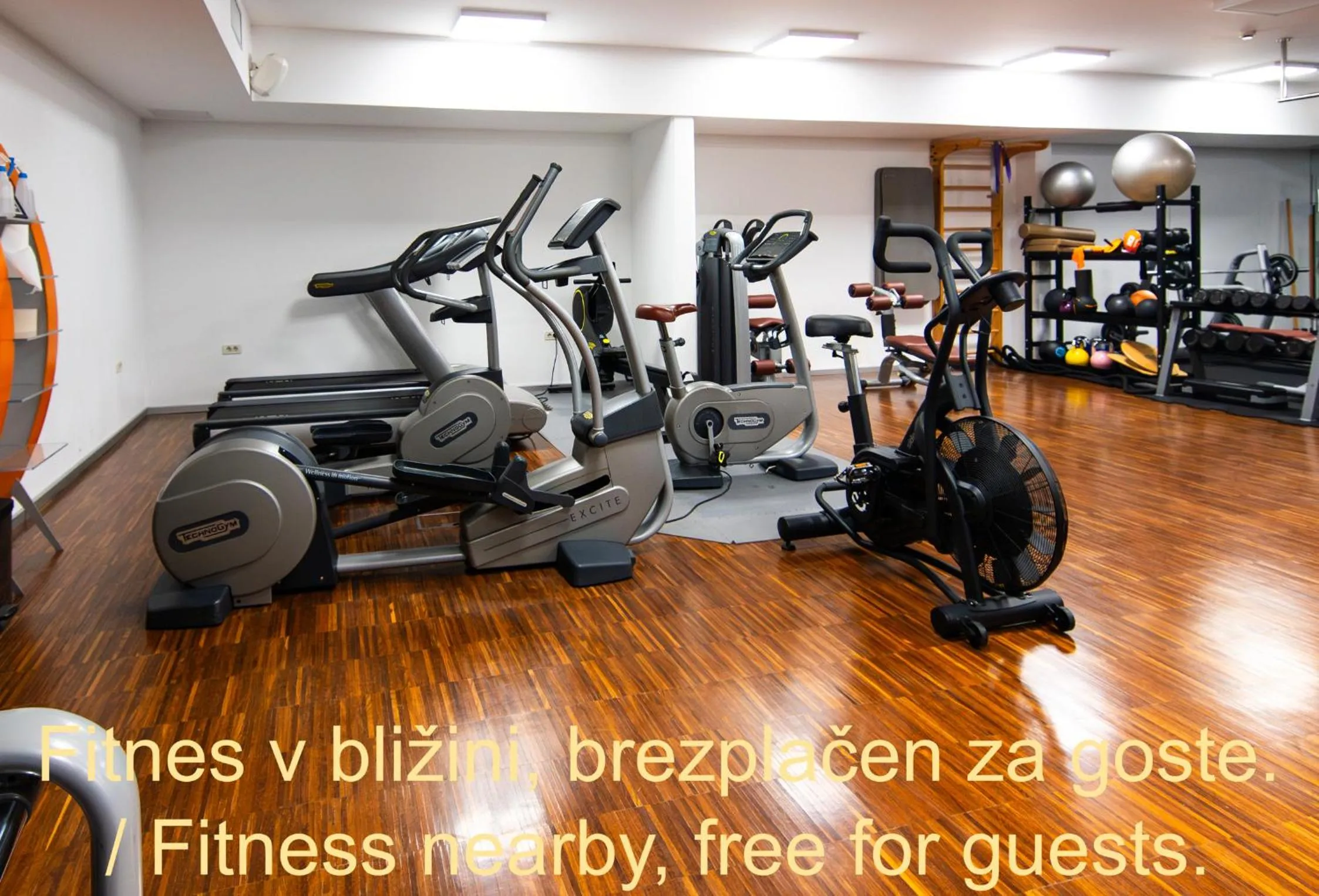 Fitness centre/facilities in Forgotten Garden Apartments Portoroz