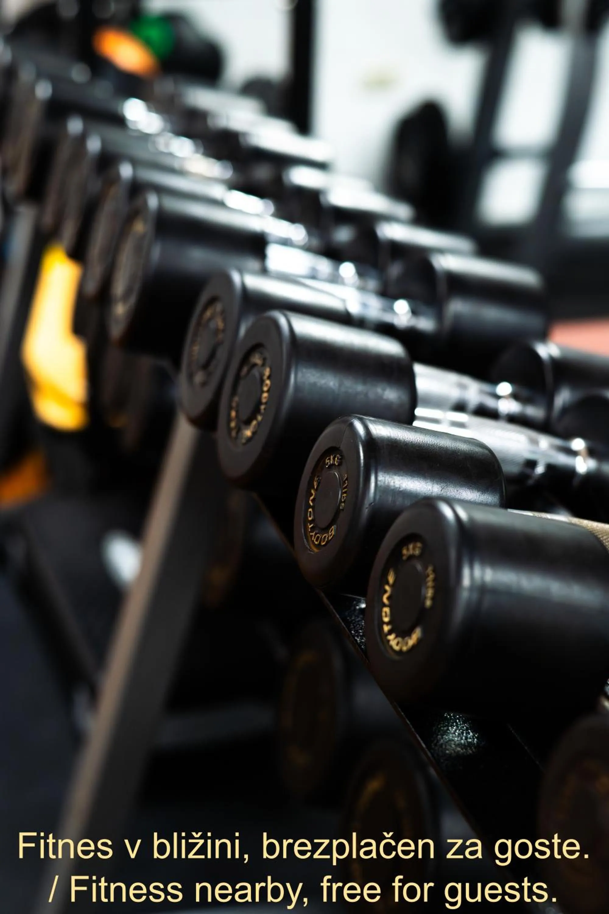 Text overlay in Forgotten Garden Apartments Portoroz