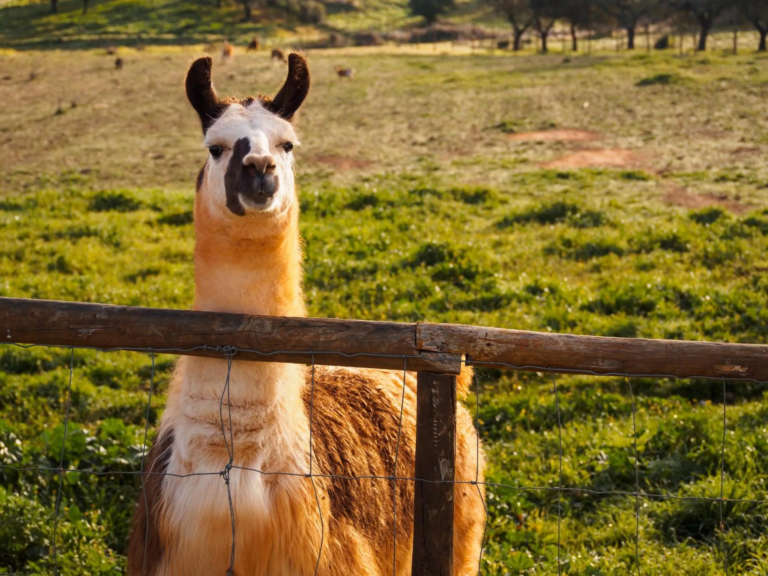 Day in Monte Santa Catarina