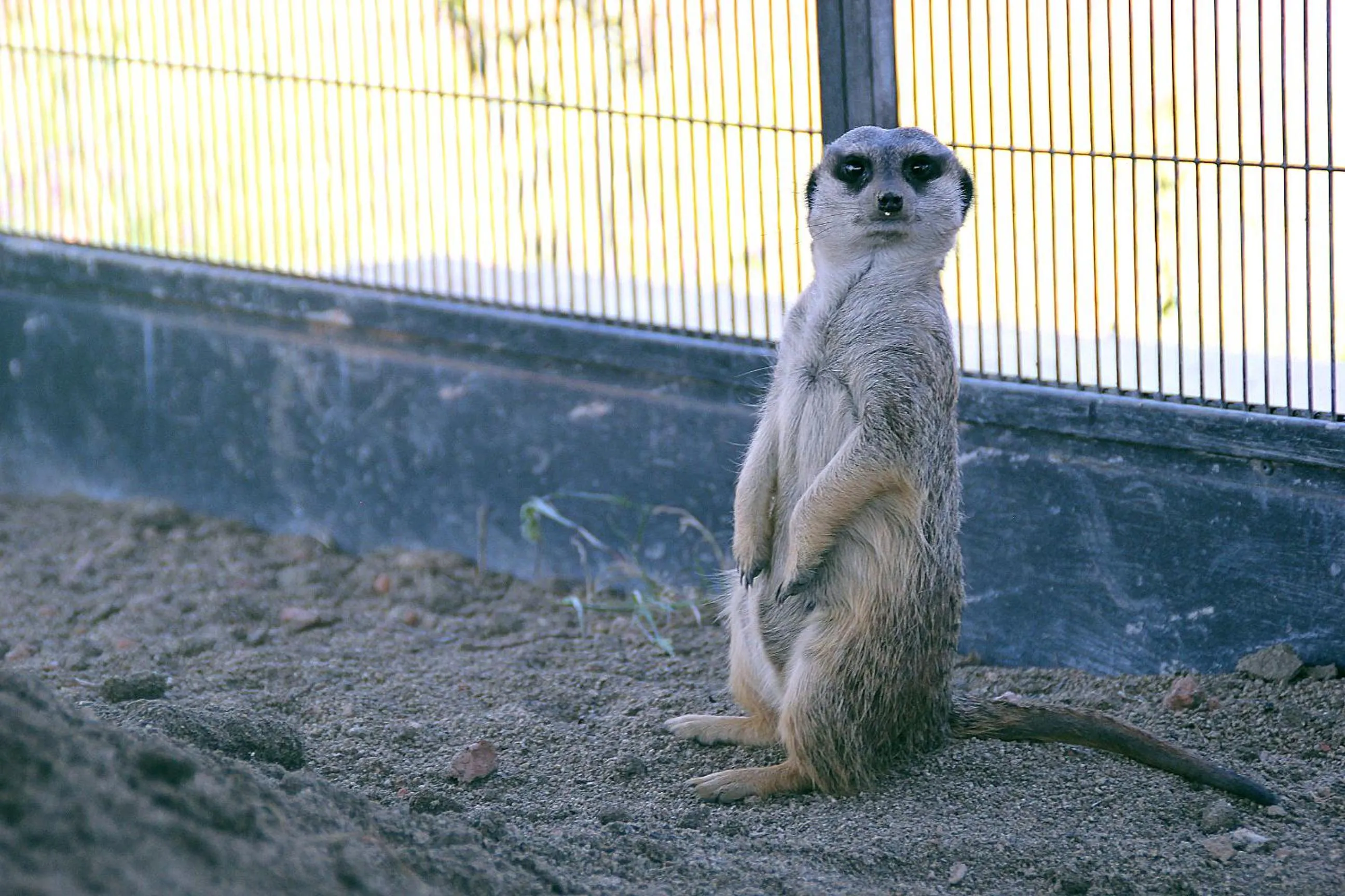 Other in Monte Santa Catarina