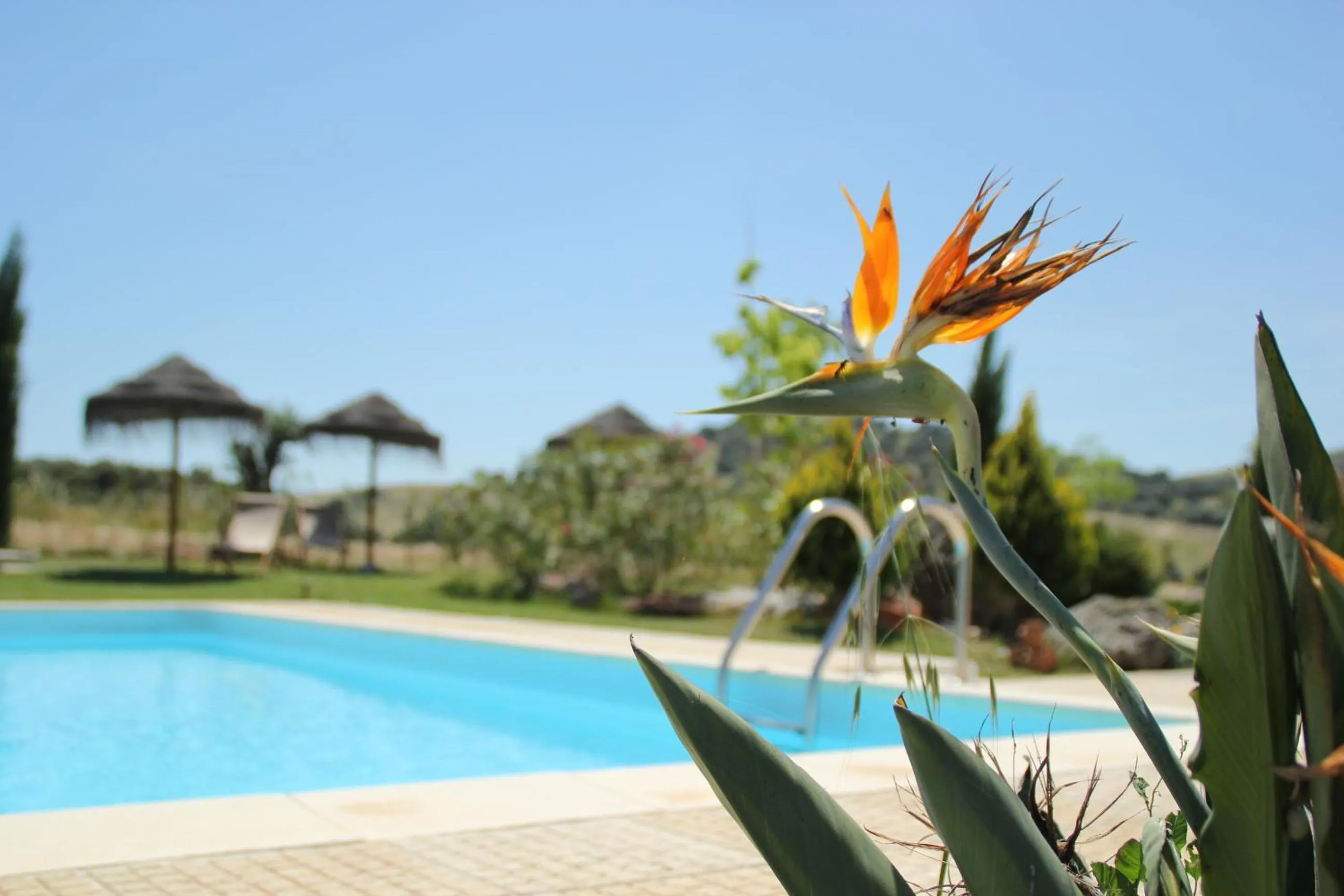 Swimming pool in Monte Santa Catarina