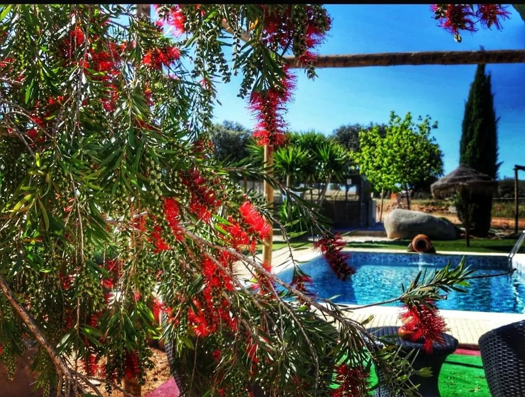 Spring in Monte Santa Catarina