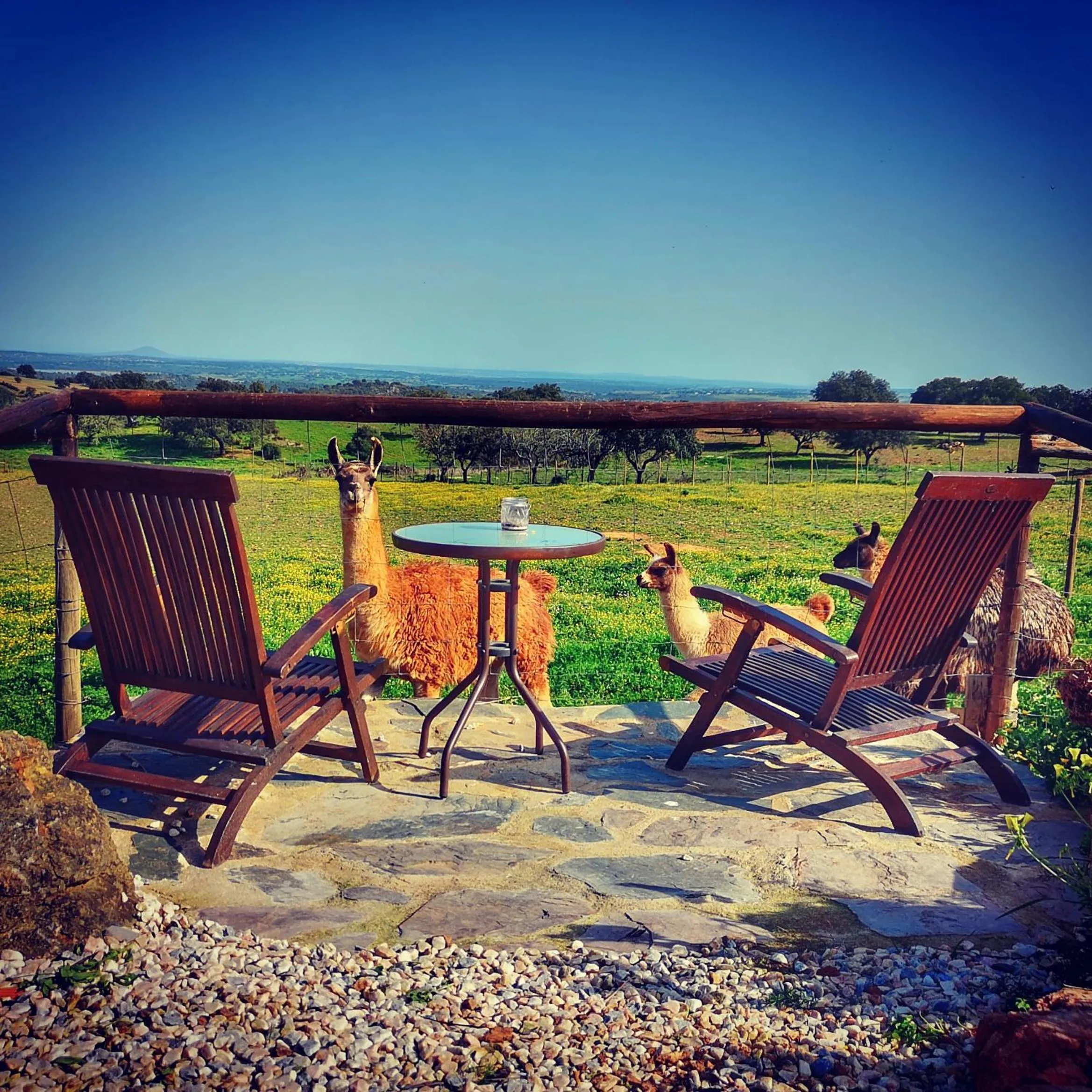 Patio in Monte Santa Catarina