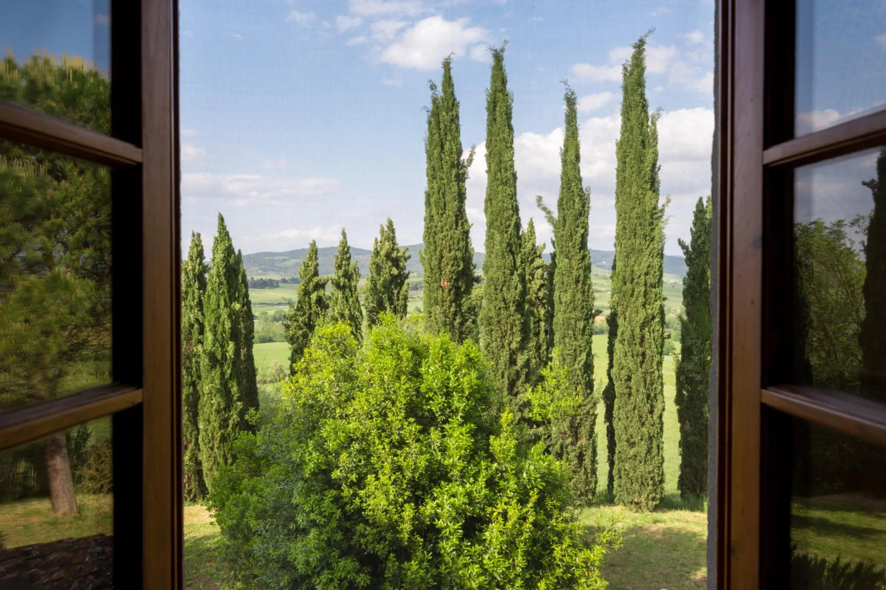 Natural landscape in Podere Torricella