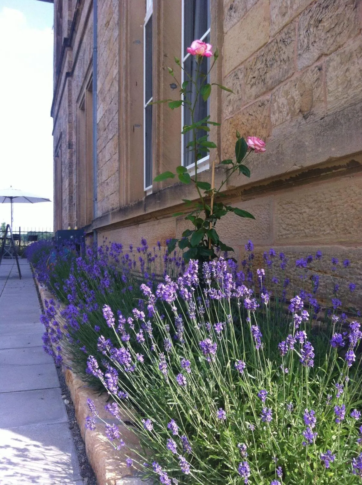 Facade/entrance in Zum Bahnhof 1894