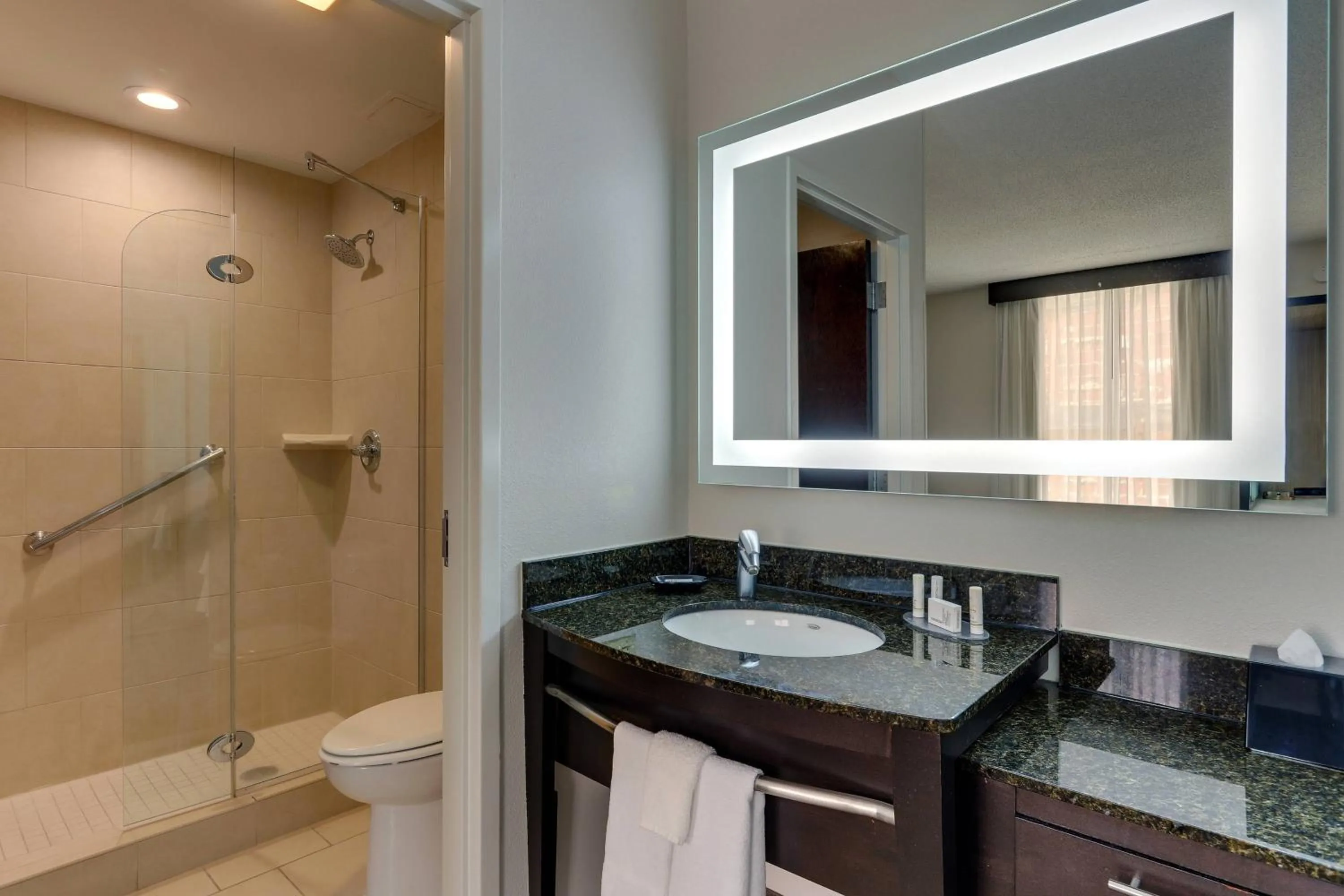 Bathroom in SpringHill Suites by Marriott Birmingham Downtown at UAB