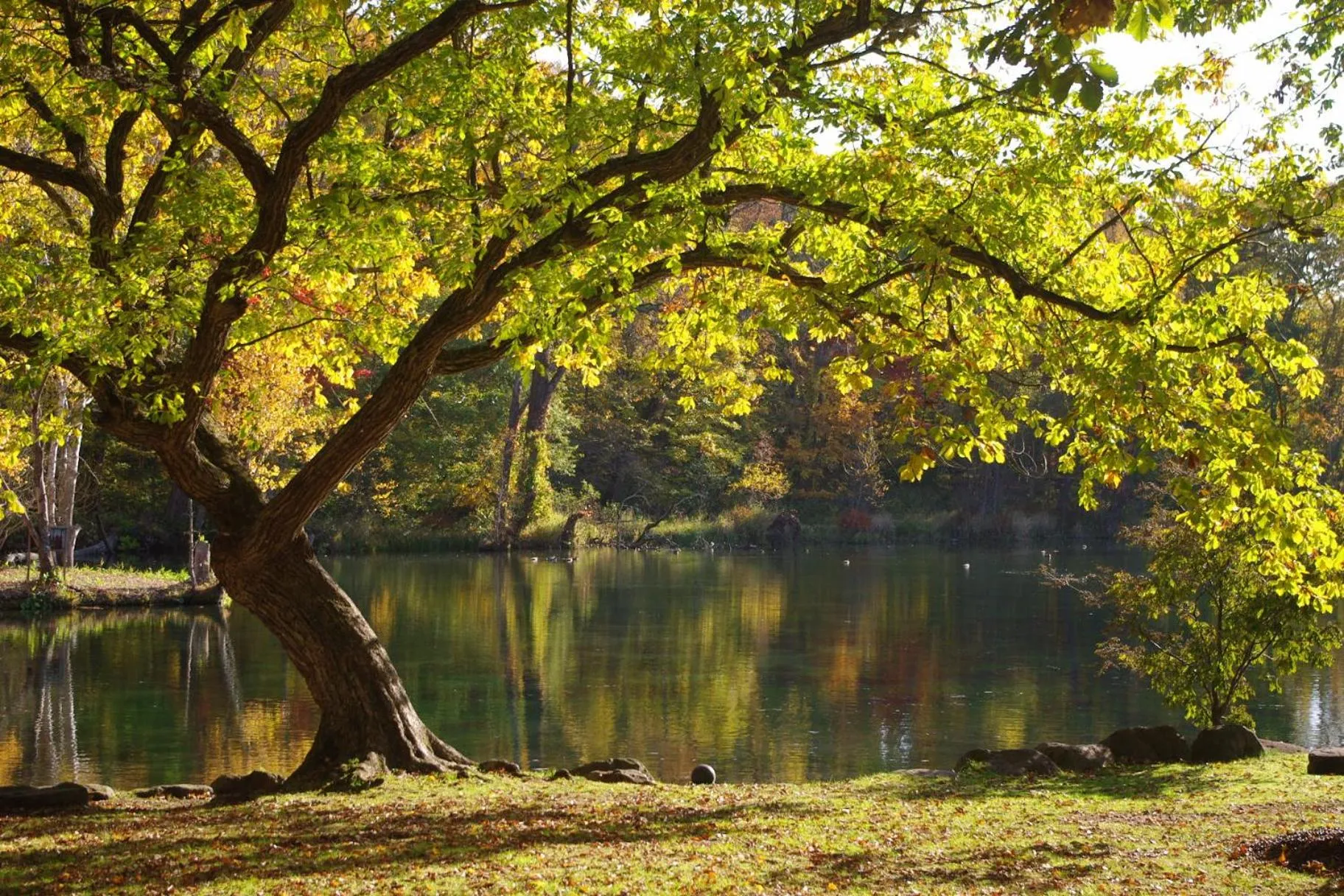 Nearby landmark in Akane-yado