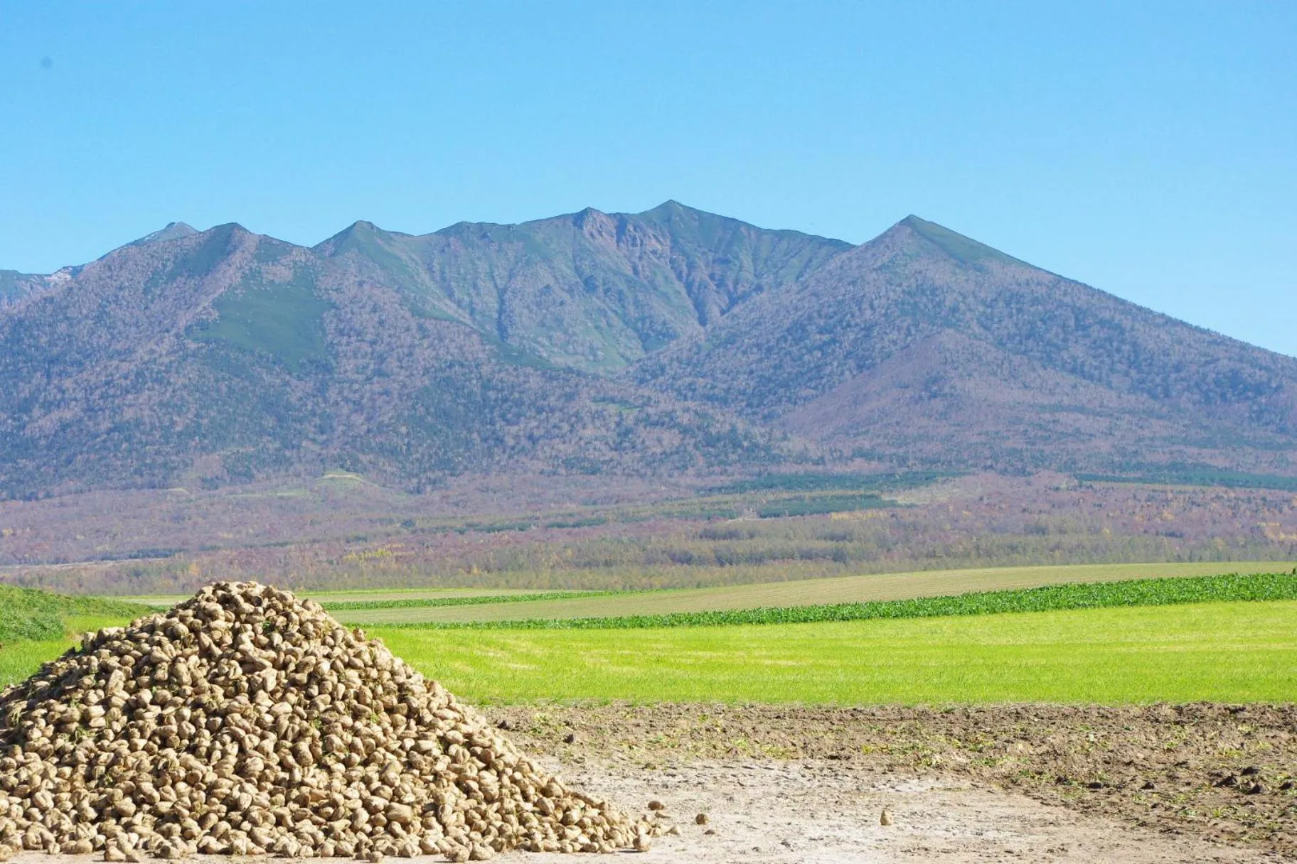 Off site in Akane-yado