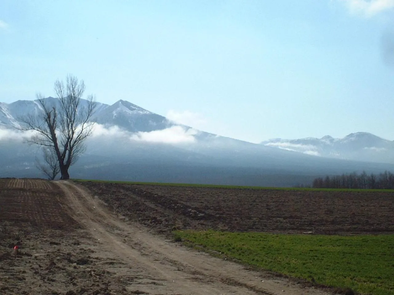 Spring in Akane-yado