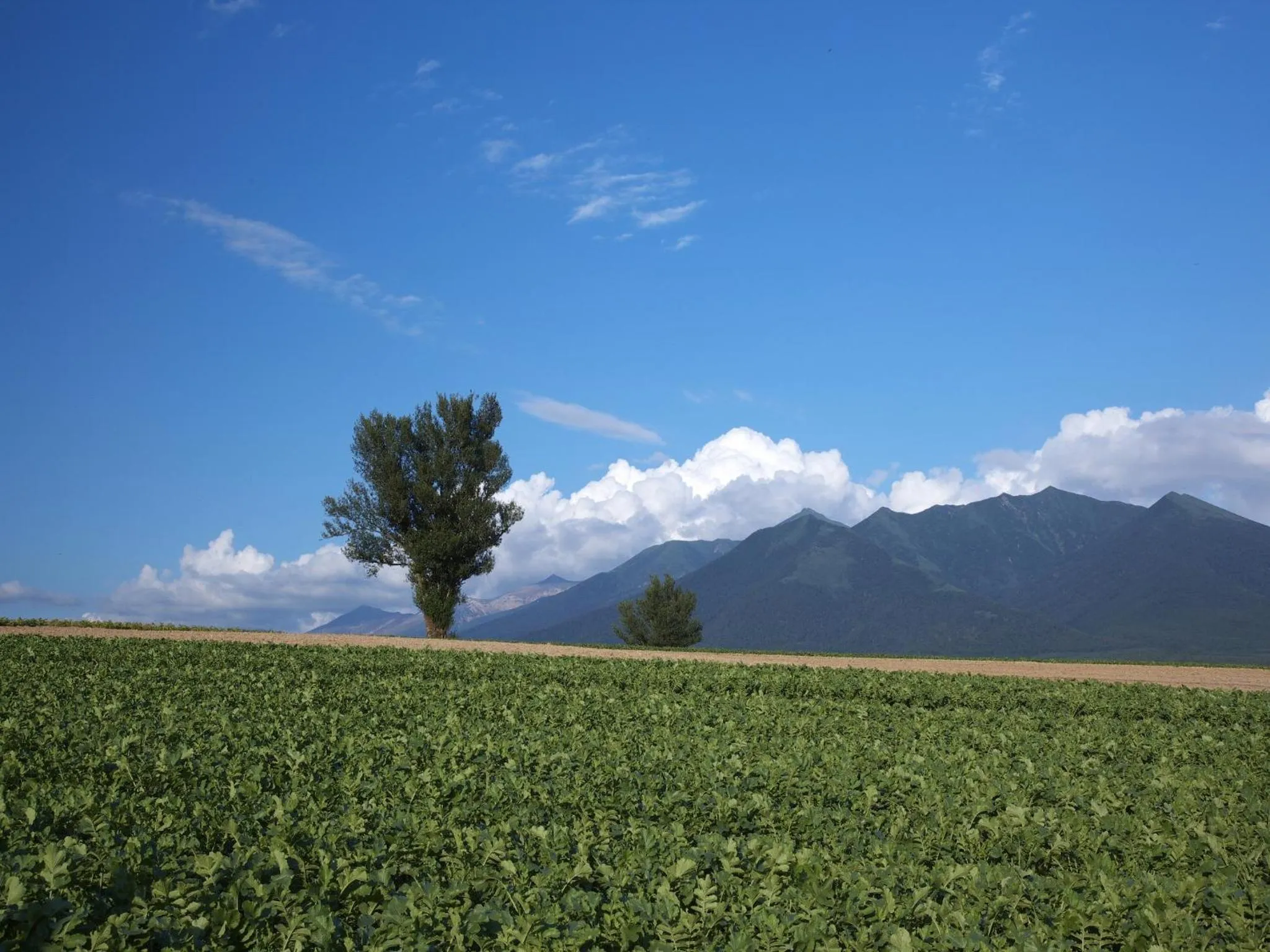 Off site in Akane-yado