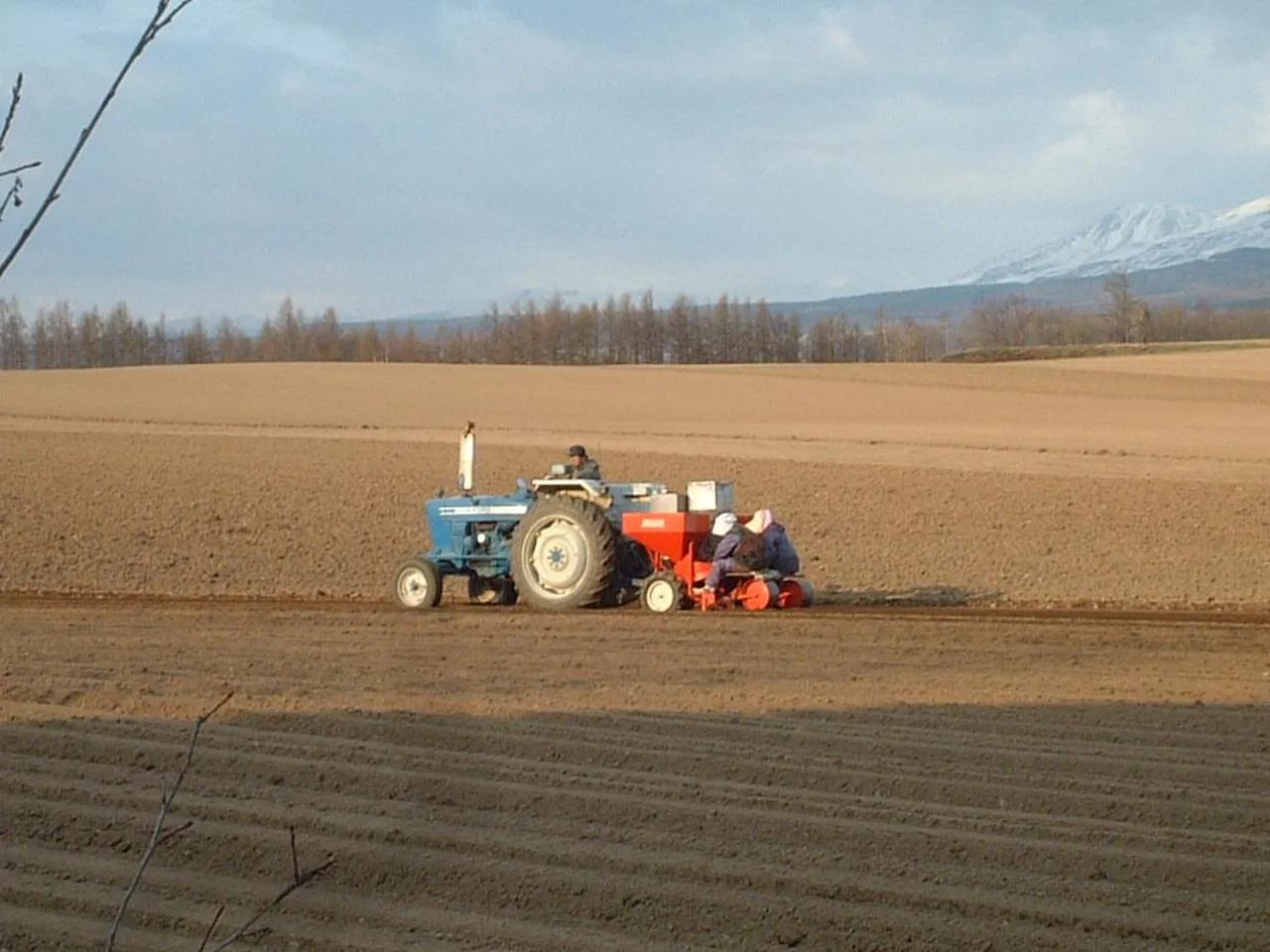 Spring in Akane-yado