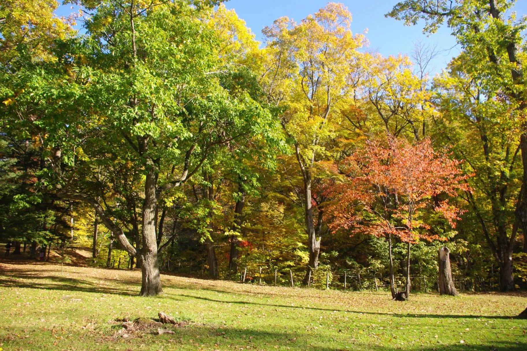 Nearby landmark in Akane-yado