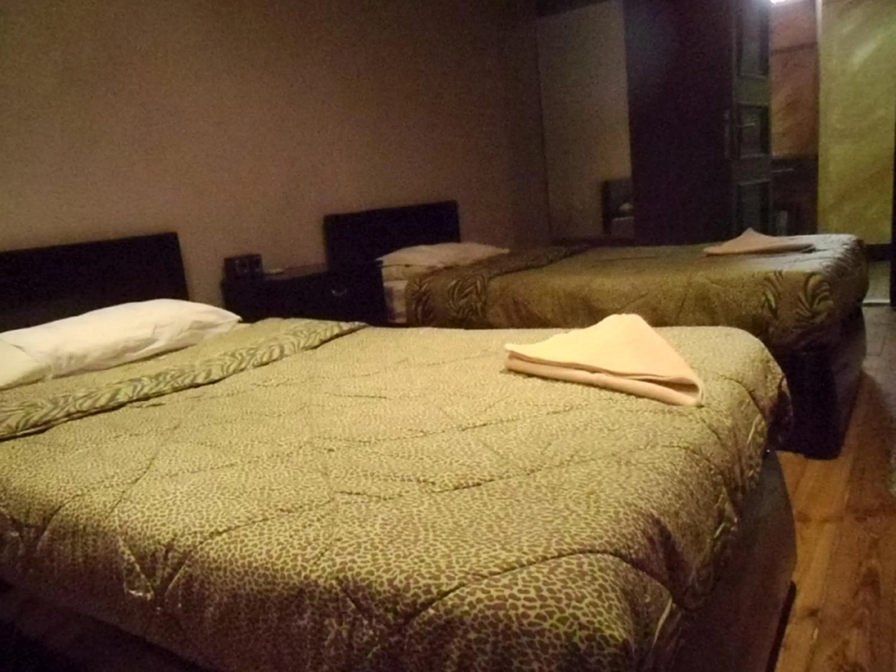 Staff, Bed in Freedom Hostel