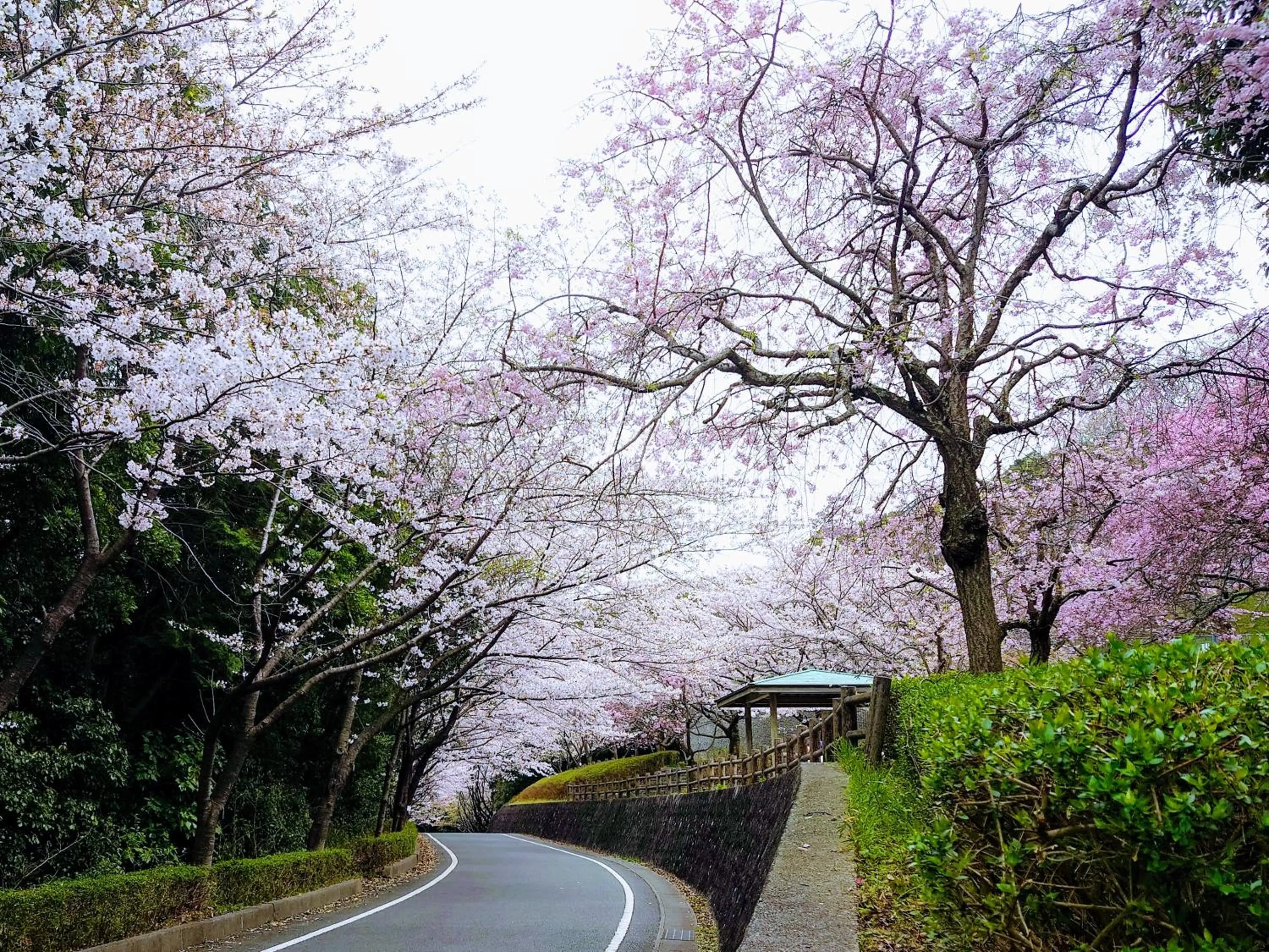 Nearby landmark in APA Hotel Yamaguchi Hofu