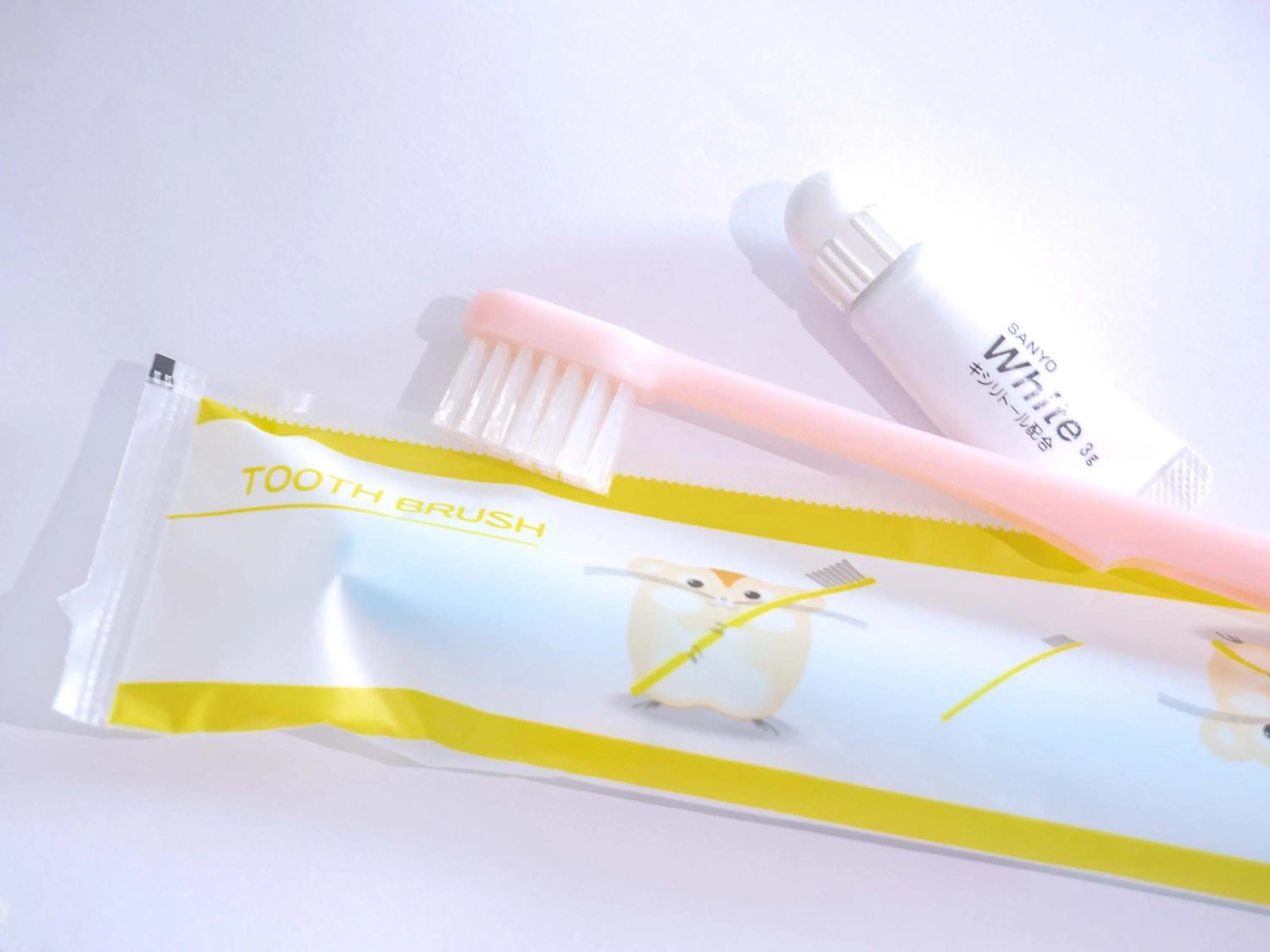 Other in APA Hotel Tottori Ekimae Minami