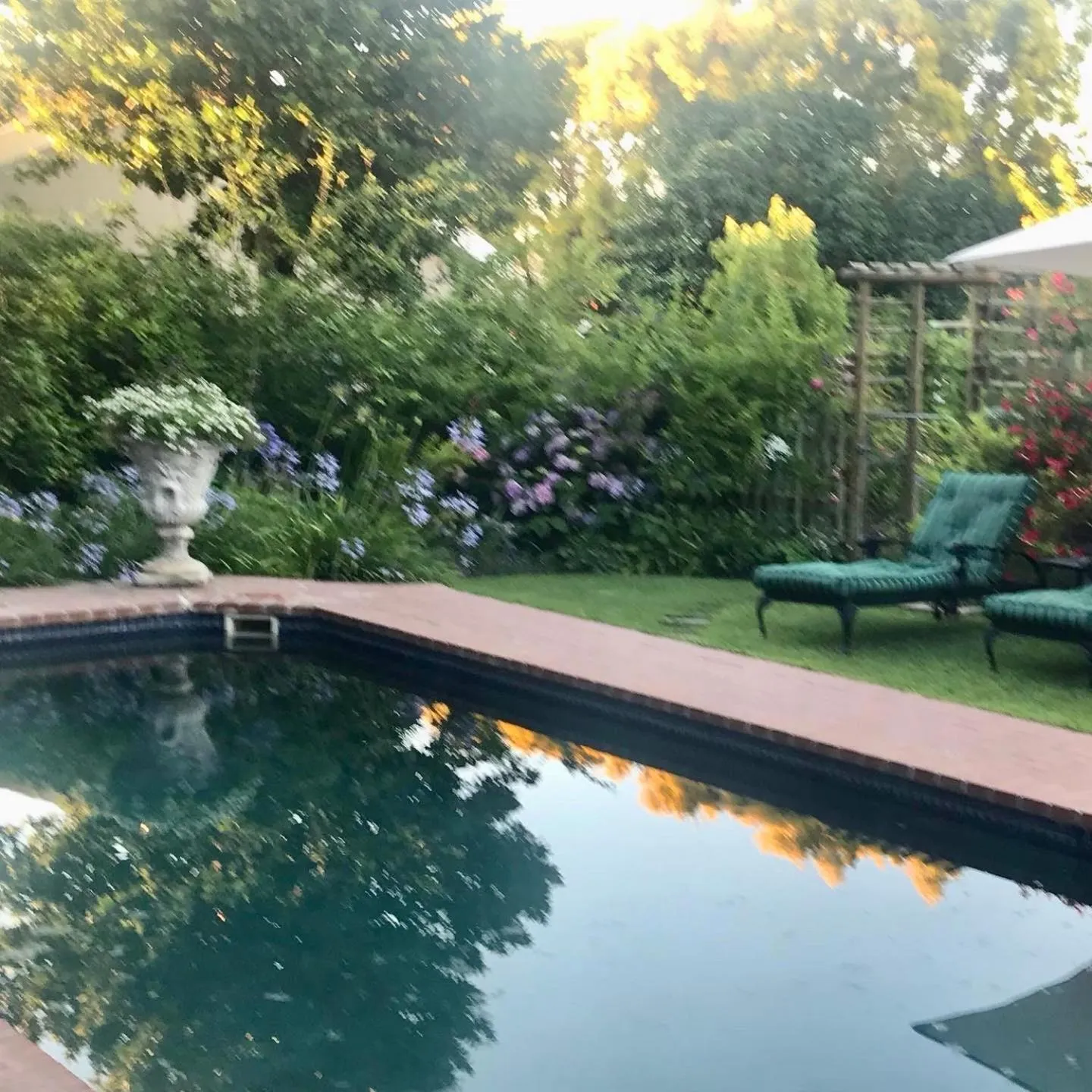 Swimming pool in Penelope's Stellenbosch