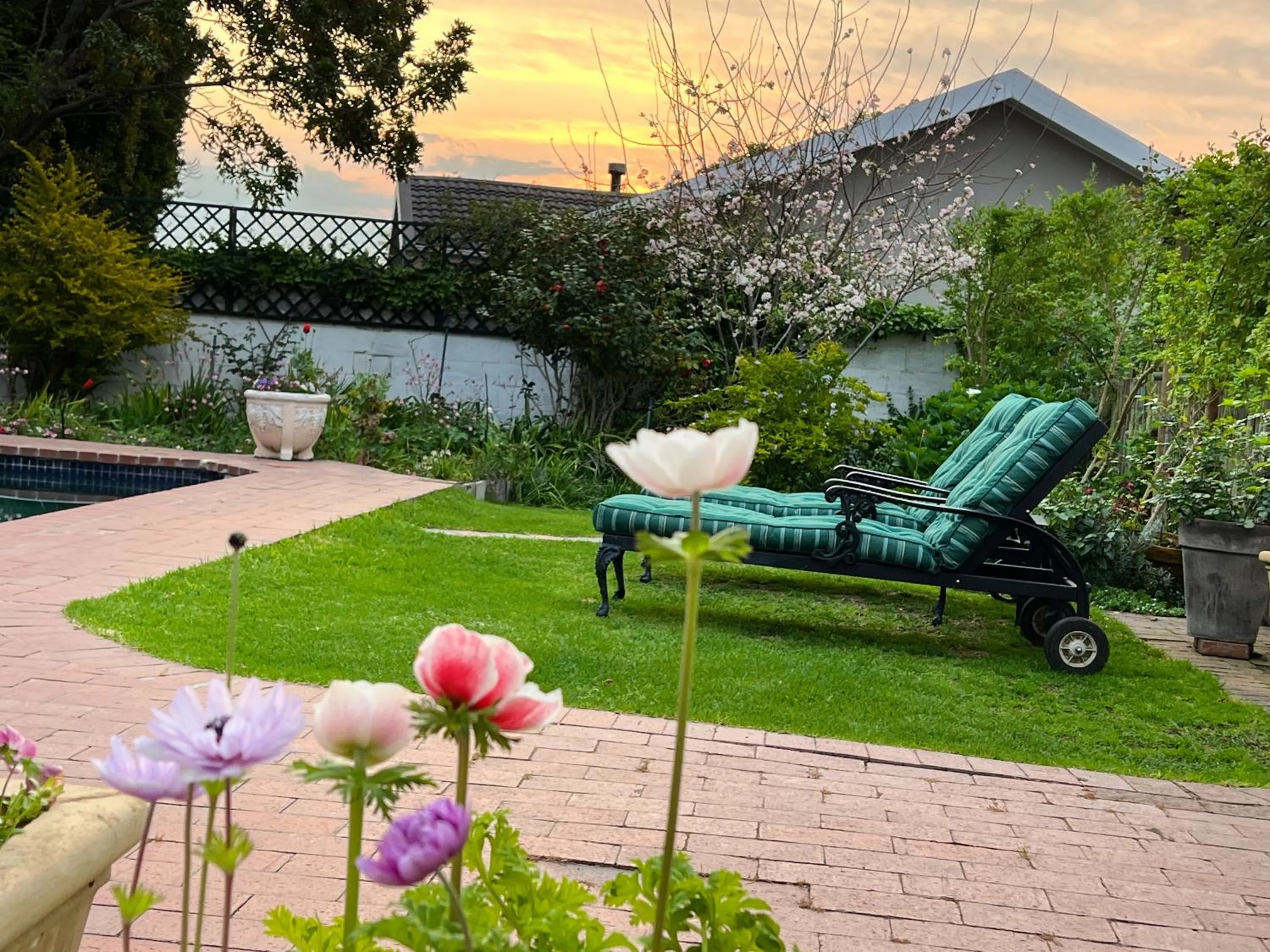 Garden in Penelope's Stellenbosch